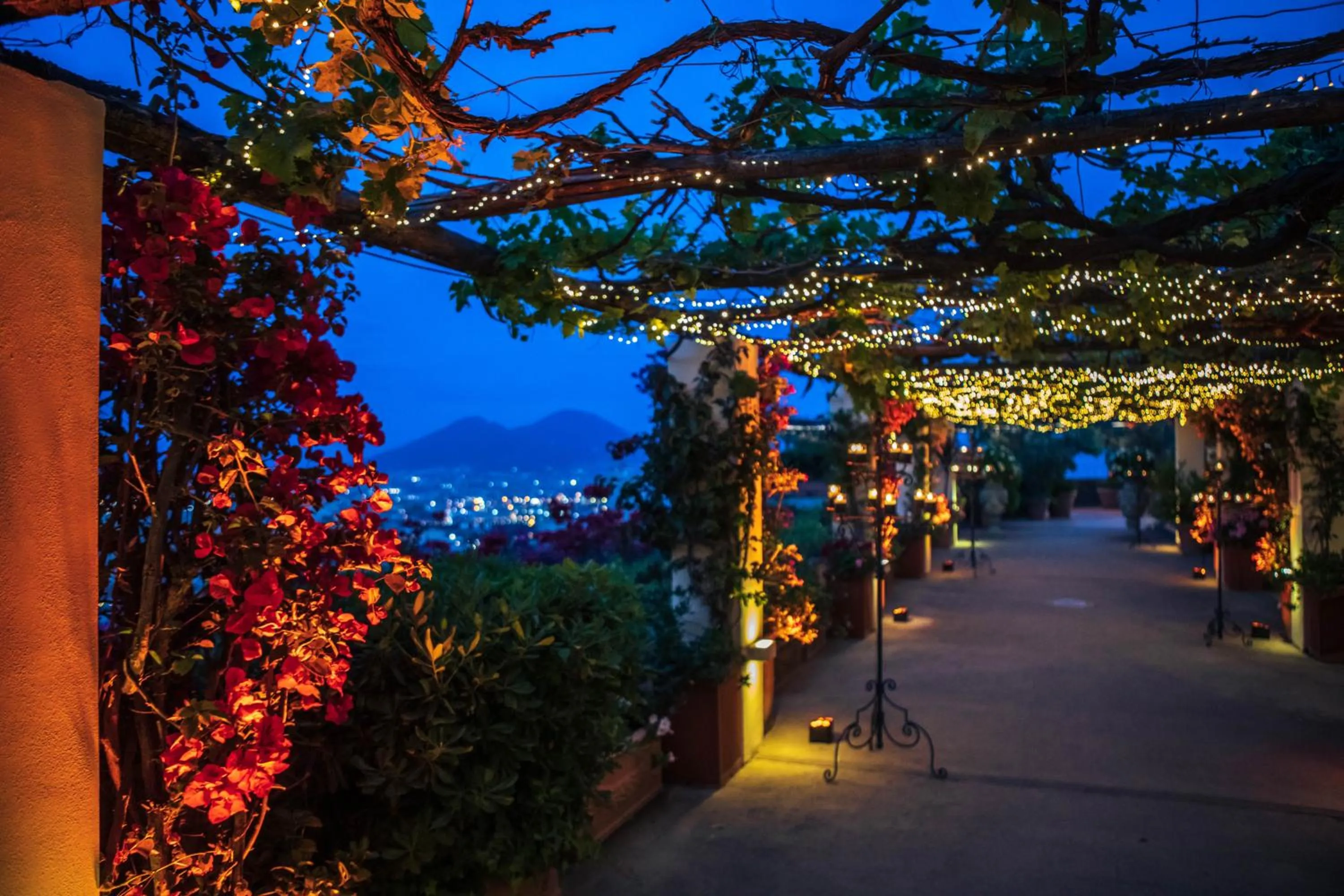 Garden in San Francesco al Monte