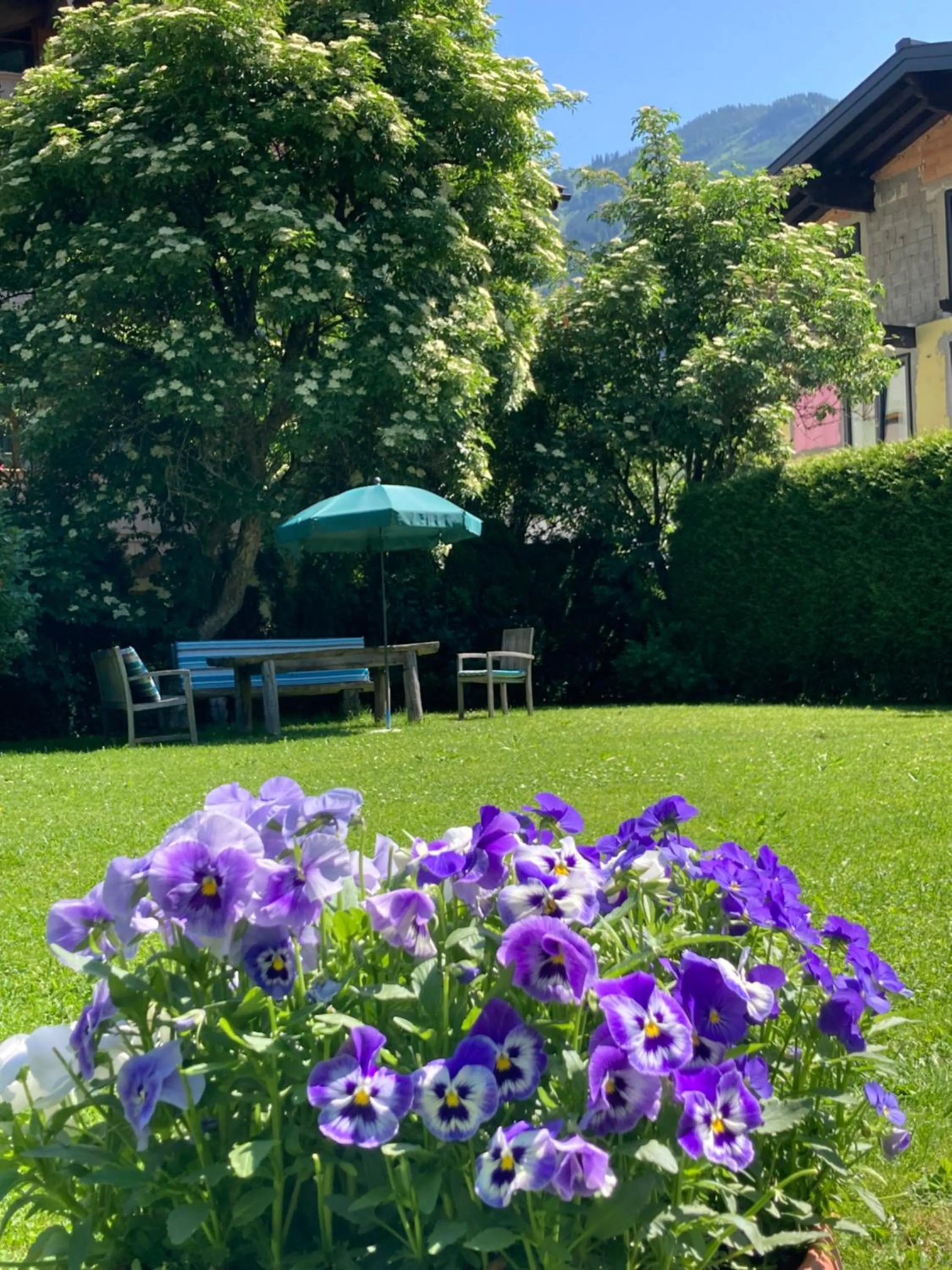 Day in Haus Standlgut Rauris -- incl Sommercard