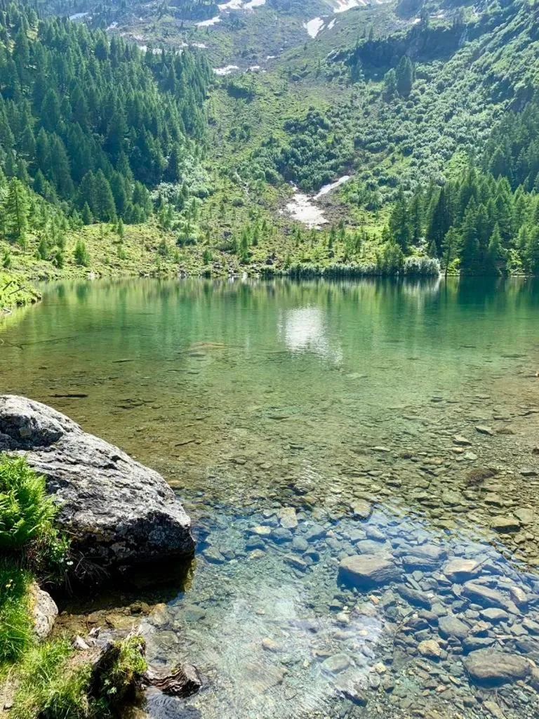 Hiking in AlpenChalet Mitterberg
