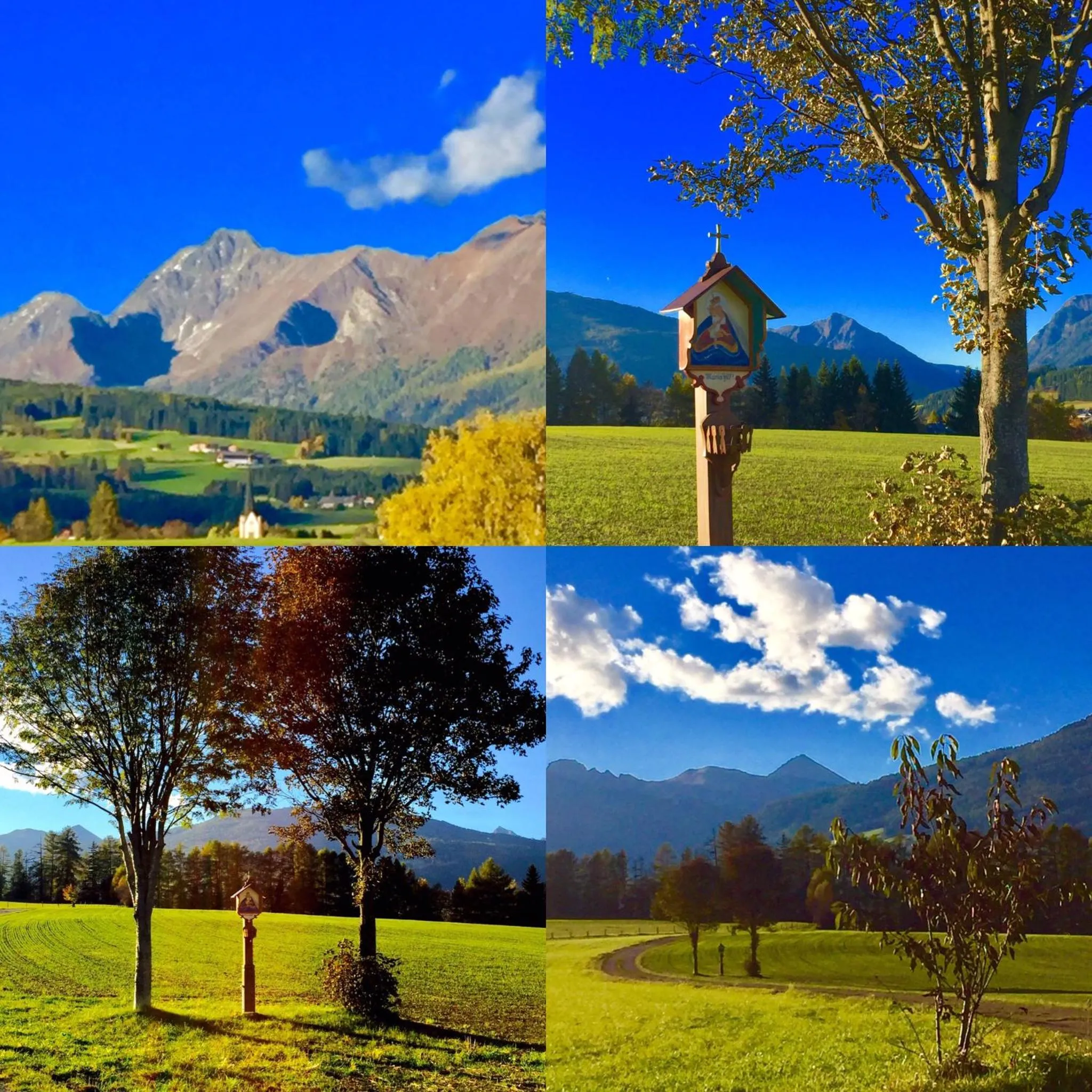 Hiking in AlpenChalet Mitterberg