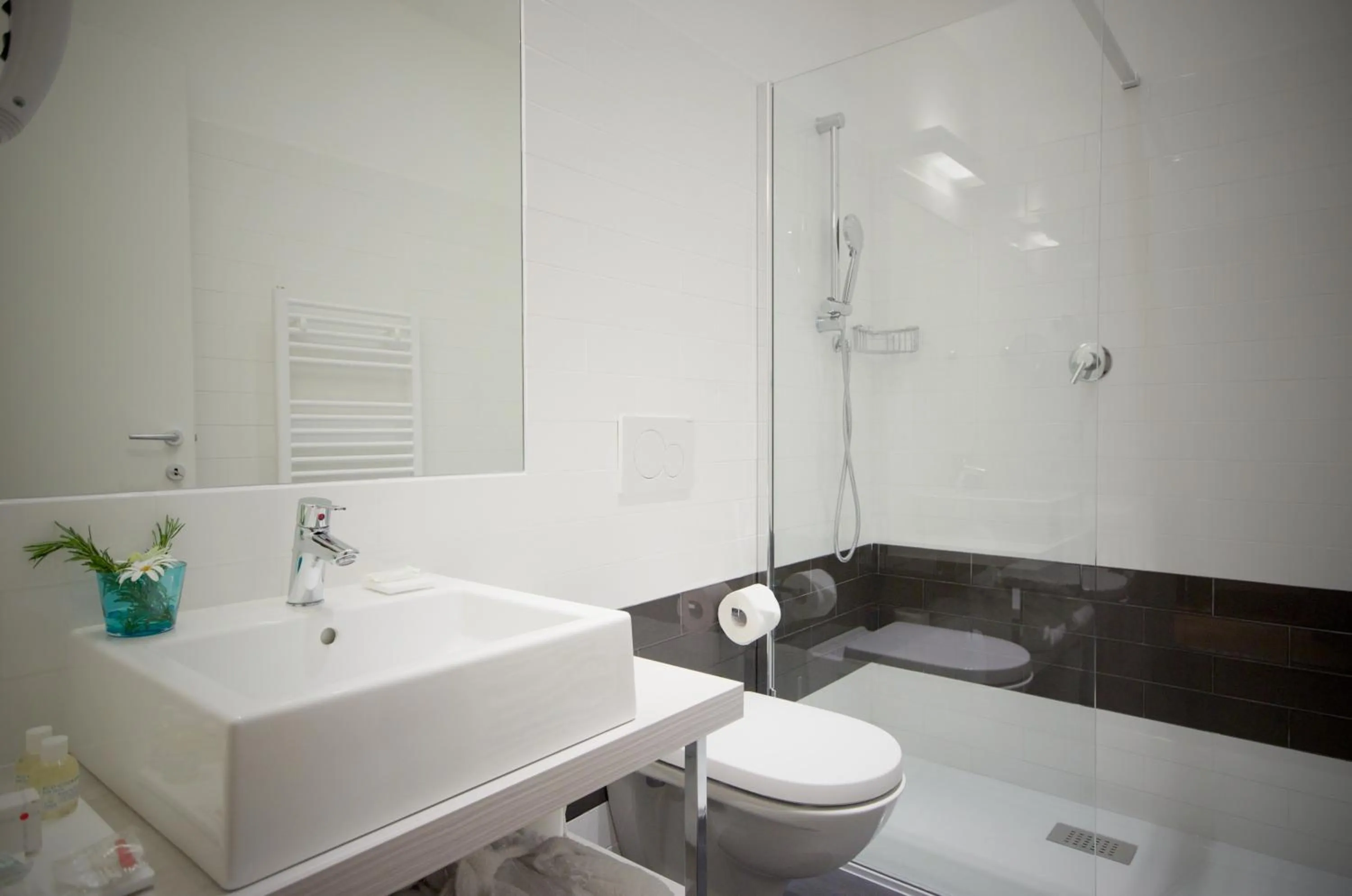 Shower in Hotel Luise