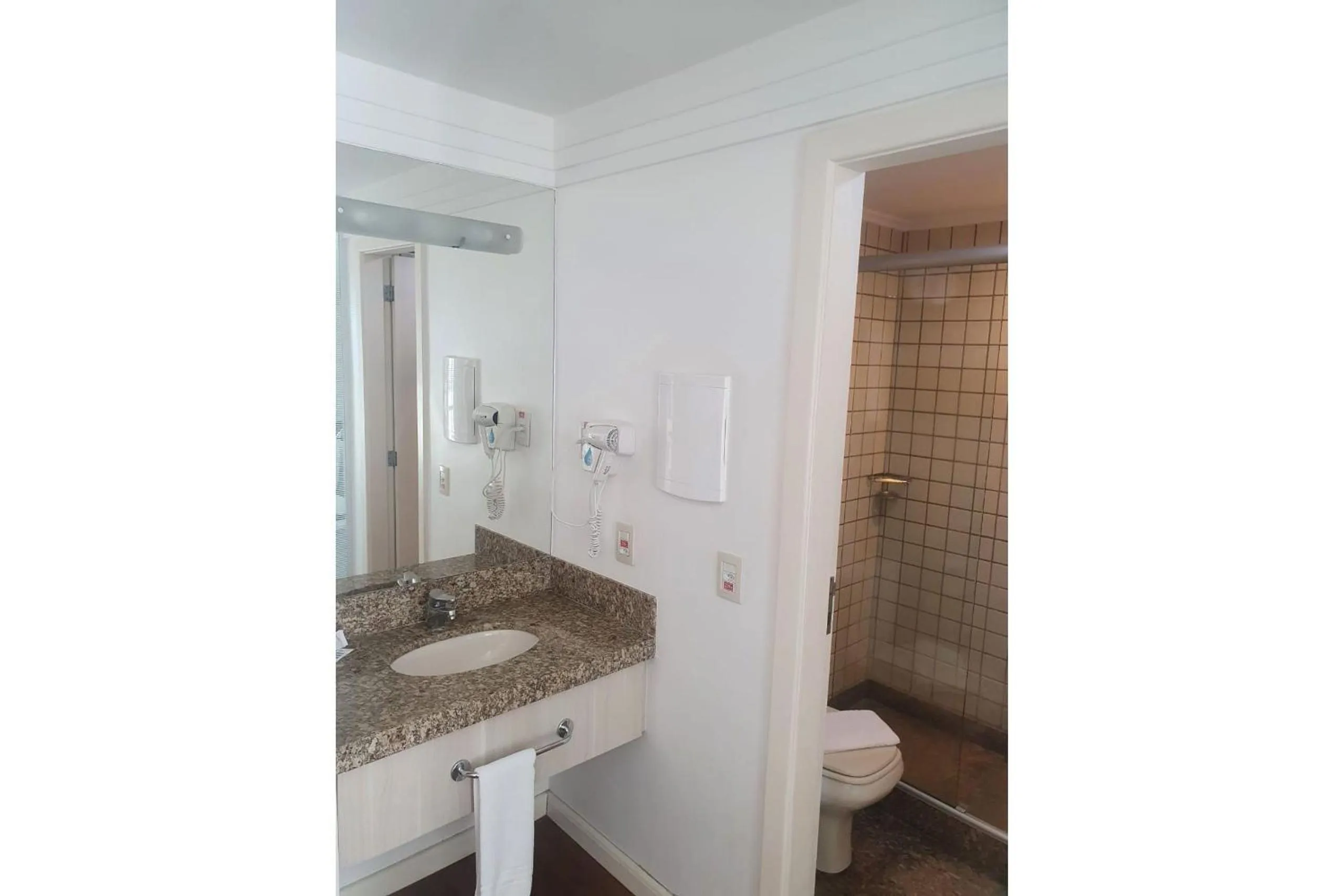 Toilet in Flat Particular