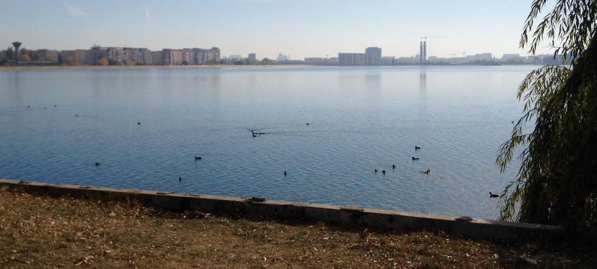 Lake view in Amazing 2-Room Penthouse Cityview W13