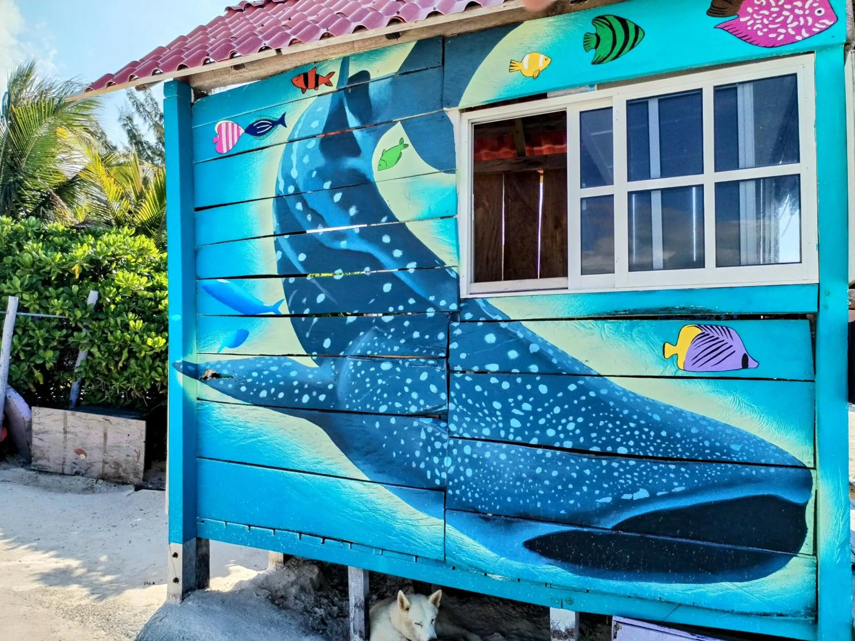 Day in Arte Sano Hotel Only Adults - Near Beach