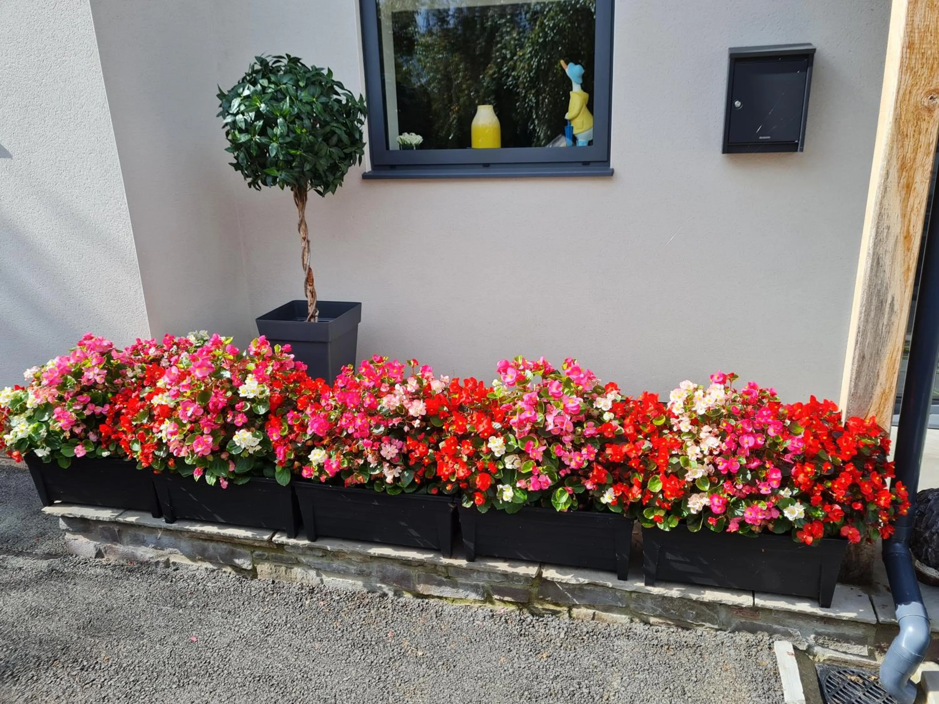 Summer in Camden Lodge B&B and Cottage Brecon