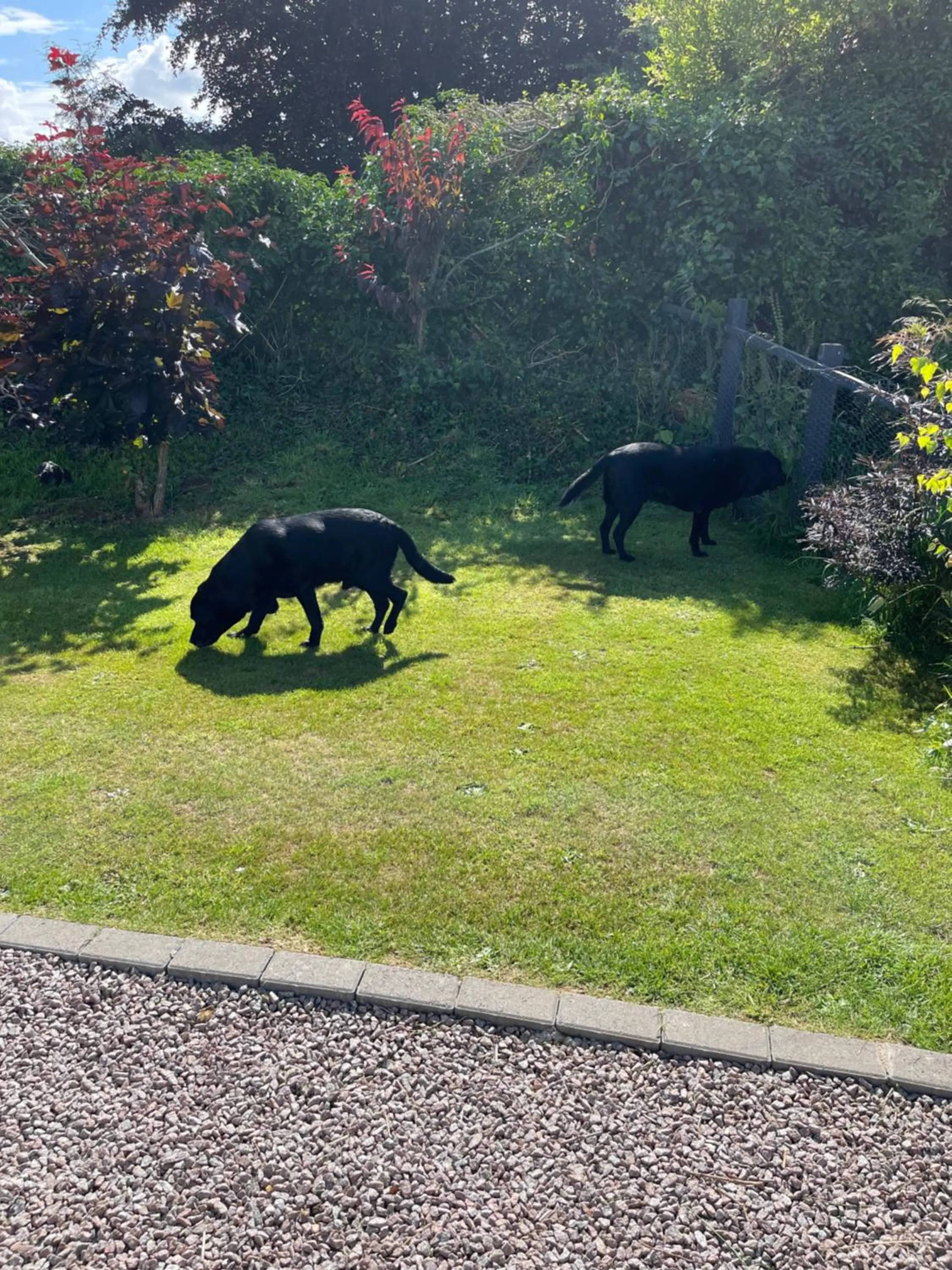 Garden in The Old Inn Retreat
