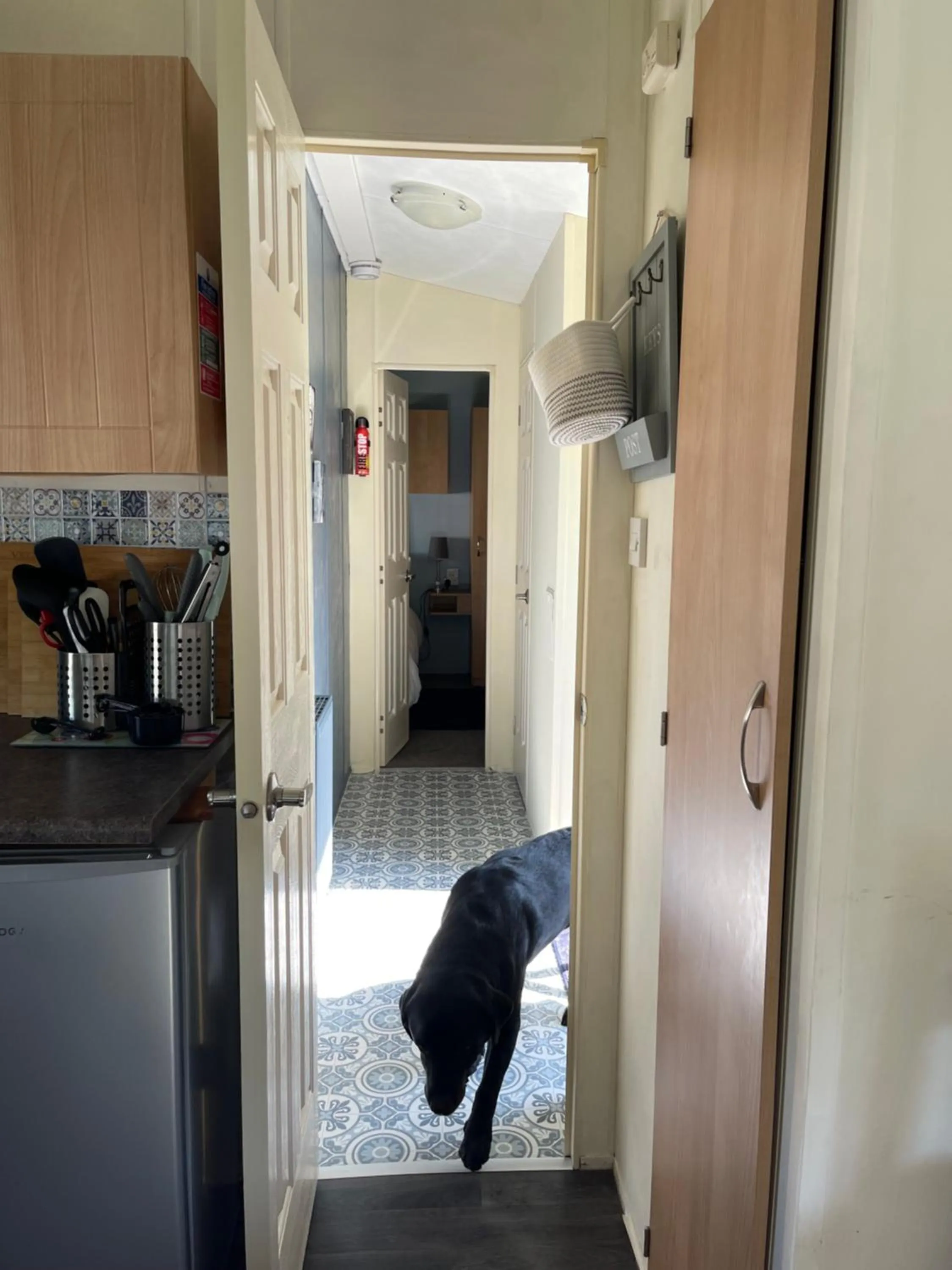 pet friendly in The Old Inn Retreat