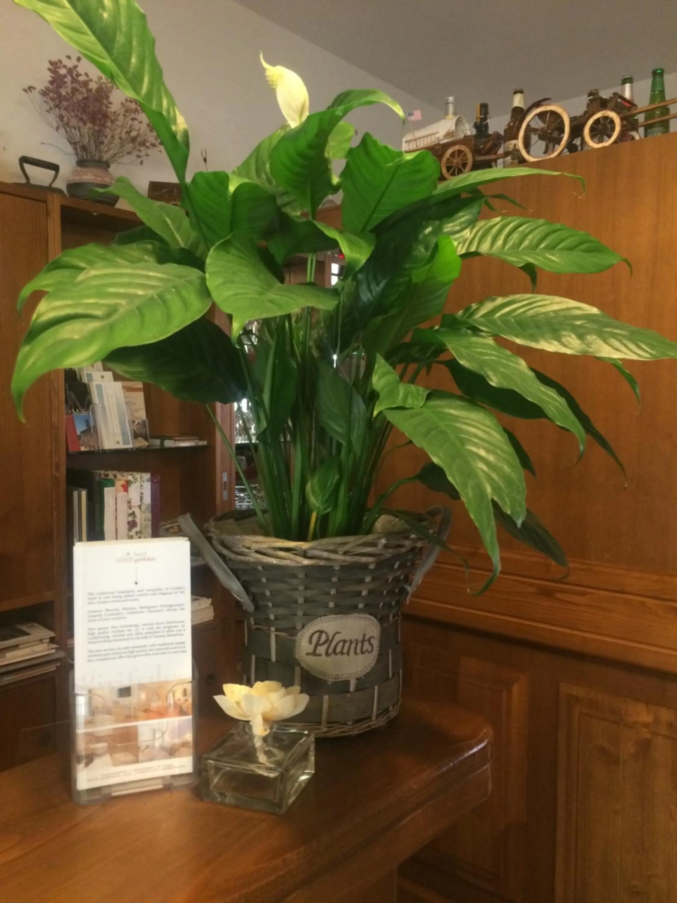 Decorative detail in Hotel Girifalco - Nature & Relax