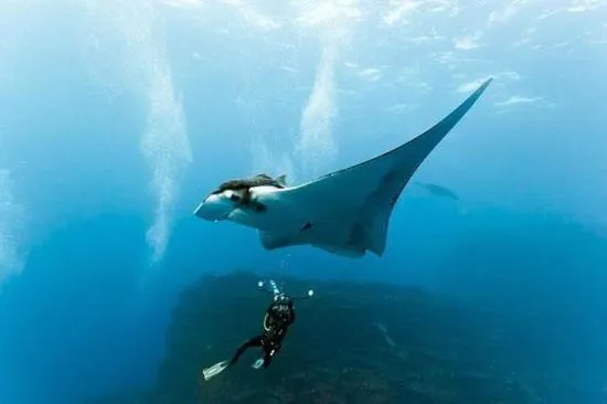 Activities in Coco Ukulhas Villa