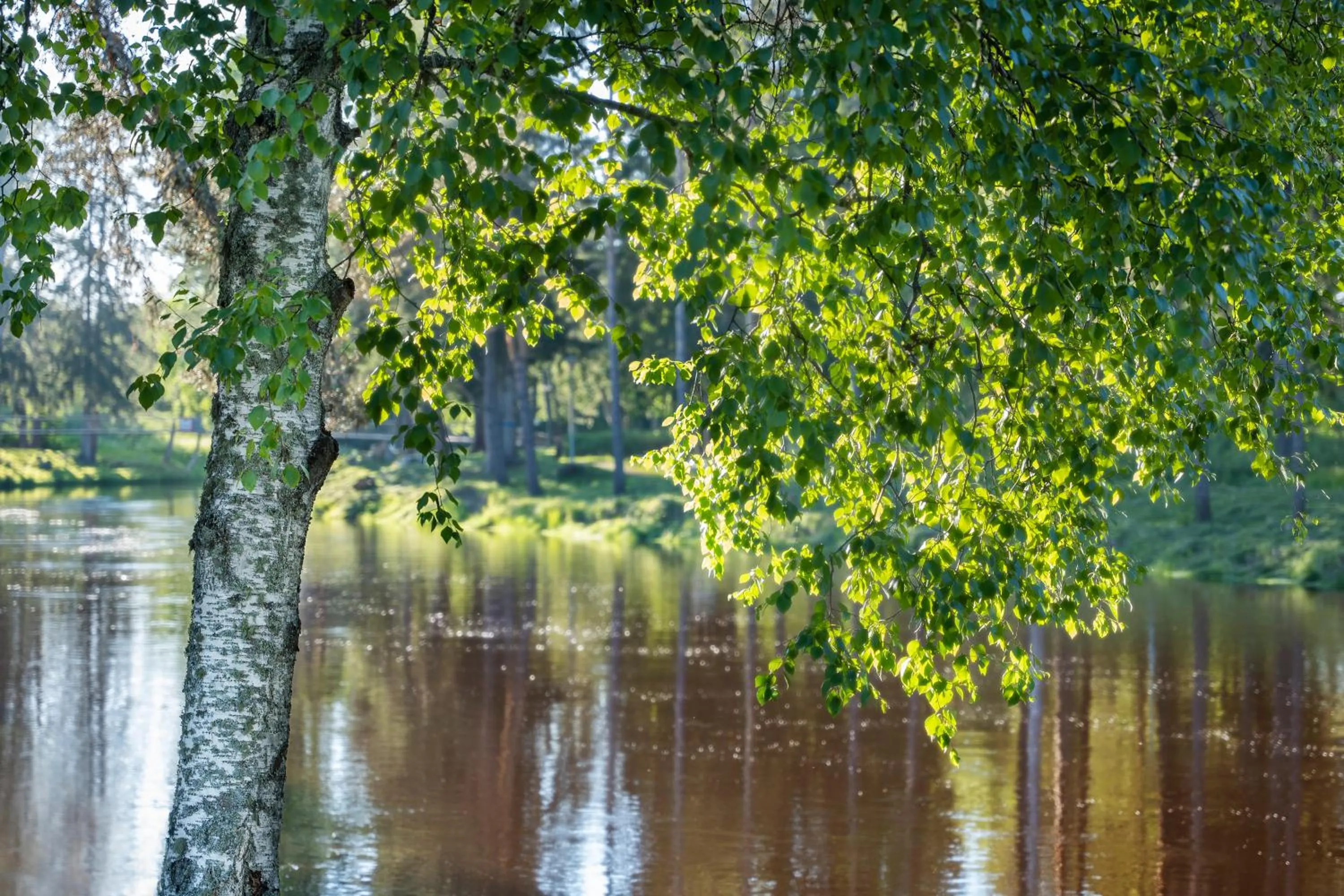 Off site in Spa Hotel Runni Iisalmi