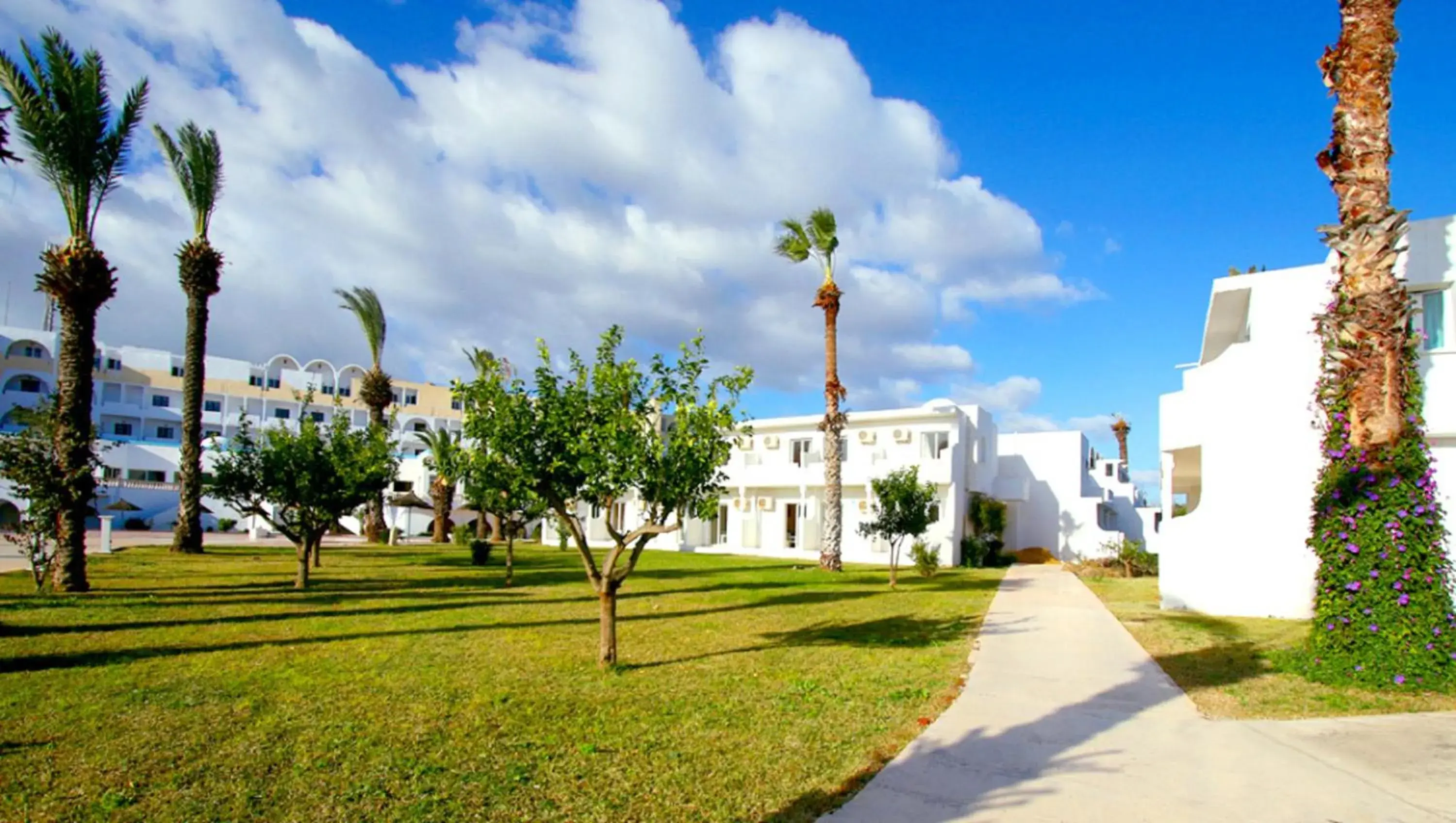 Single Room in Hotel Best Beach- Family Only Single Room in Hotel Best Beach- Family Only