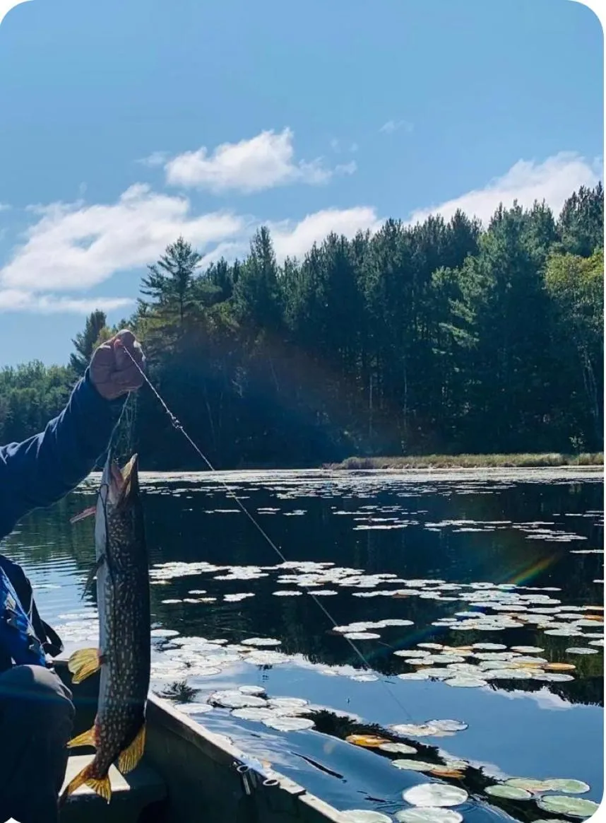 Hush Lodge and Cottages