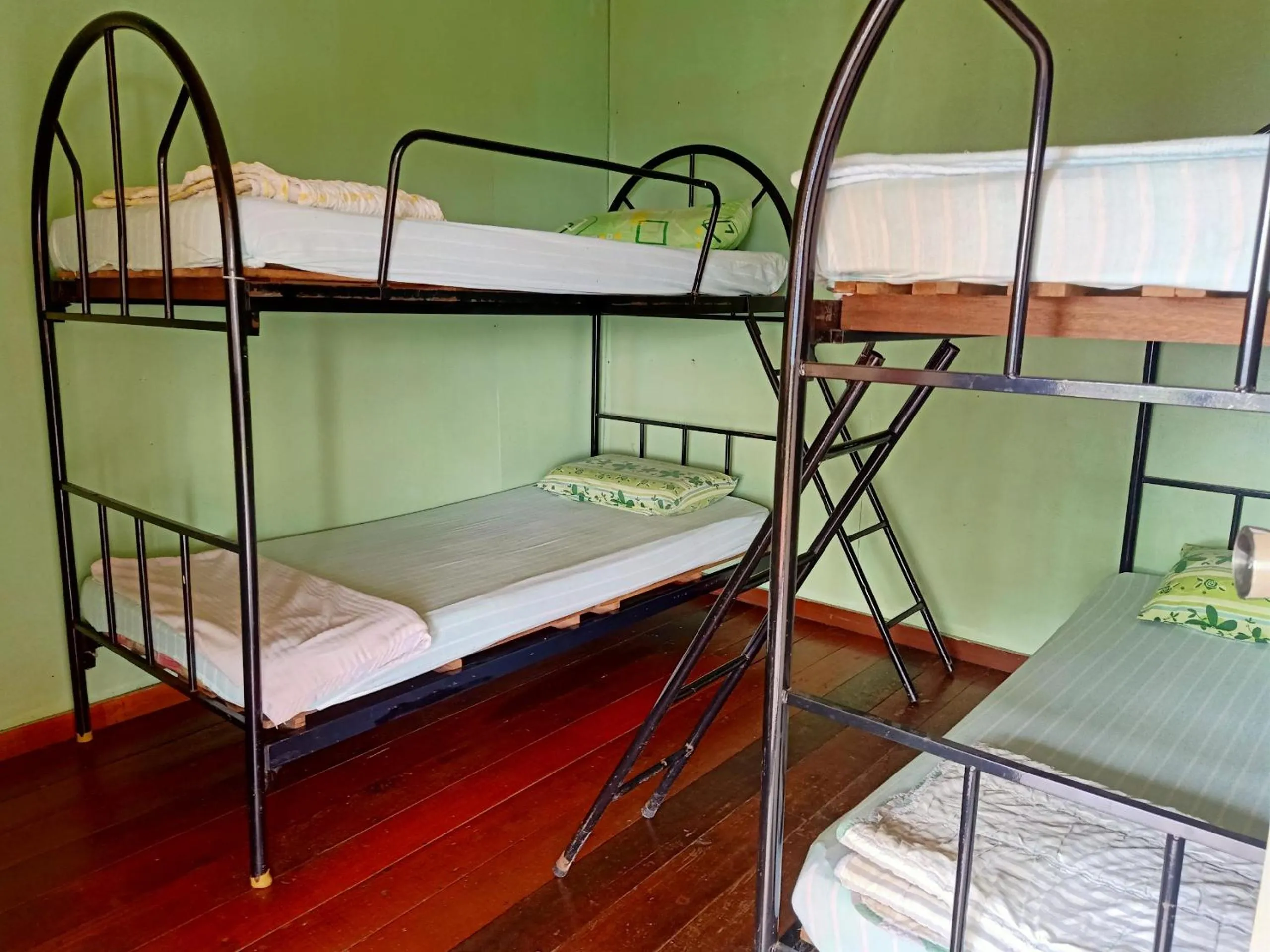 Family Room with Shared Bathroom - single occupancy in Hotel O Mountain Resthouse