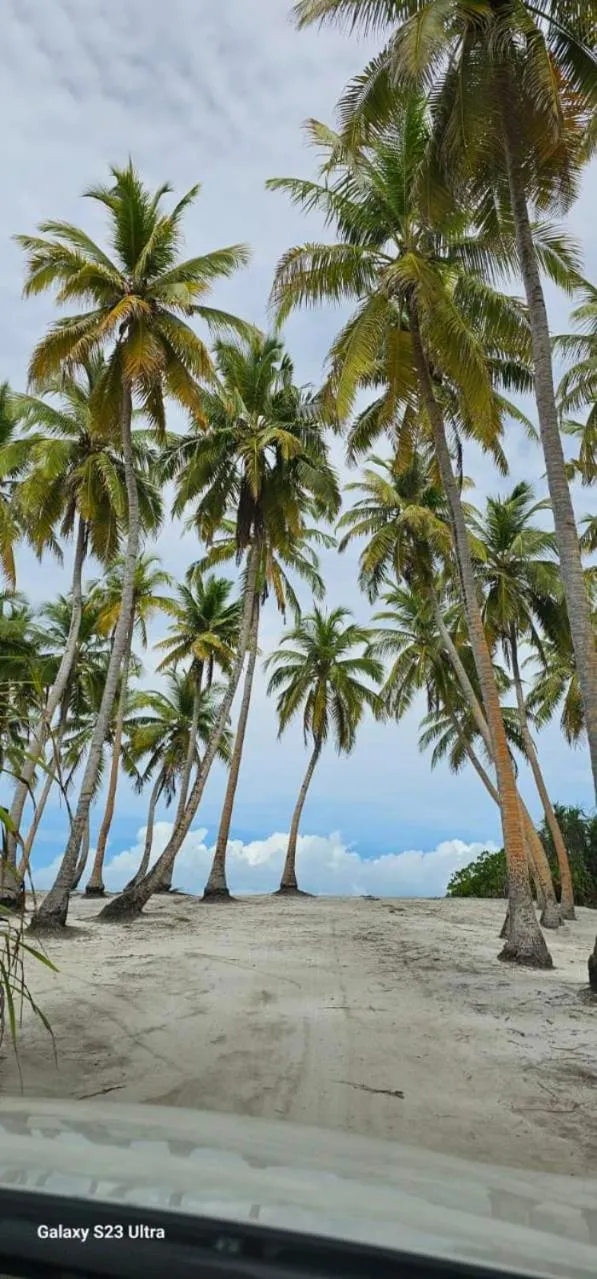 Natural landscape in Suffix Retreat - Stay, Dive & Explore Fuvahmulah