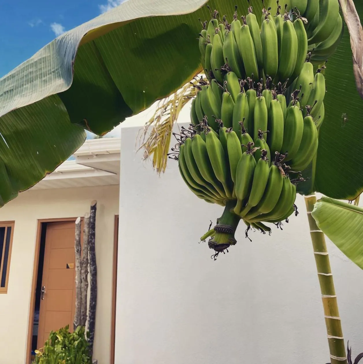 Property building in Suffix Retreat - Stay, Dive & Explore Fuvahmulah