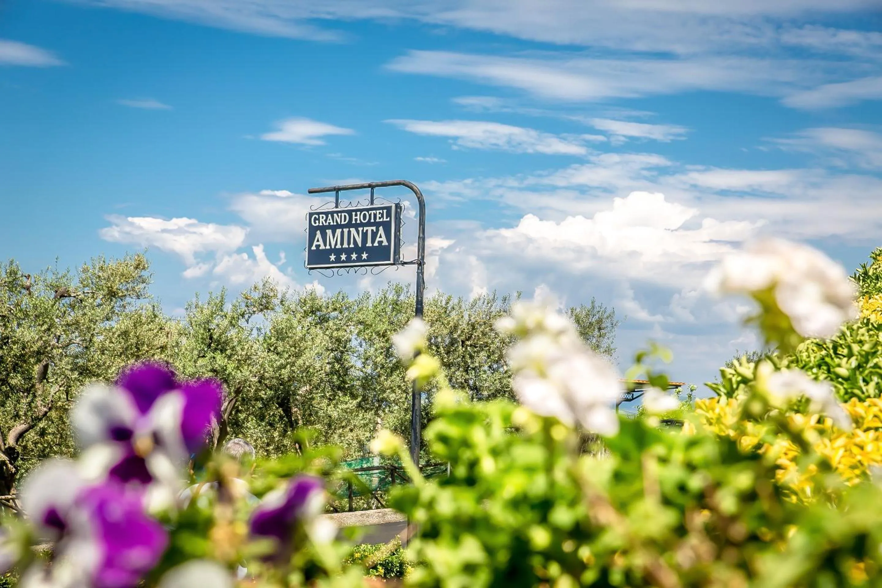 Property logo or sign in Grand Hotel Aminta