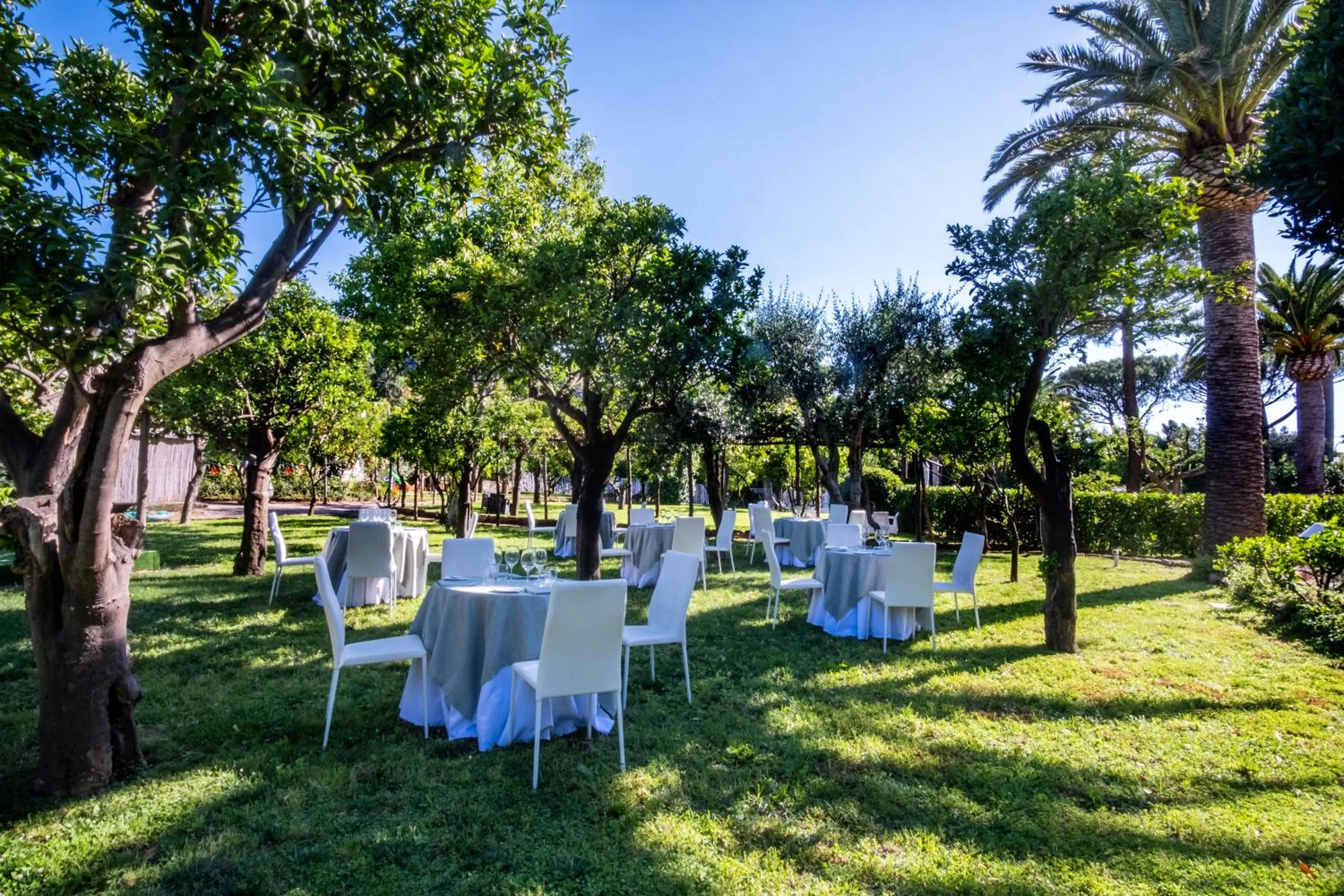 Restaurant/places to eat in Hotel Alpha