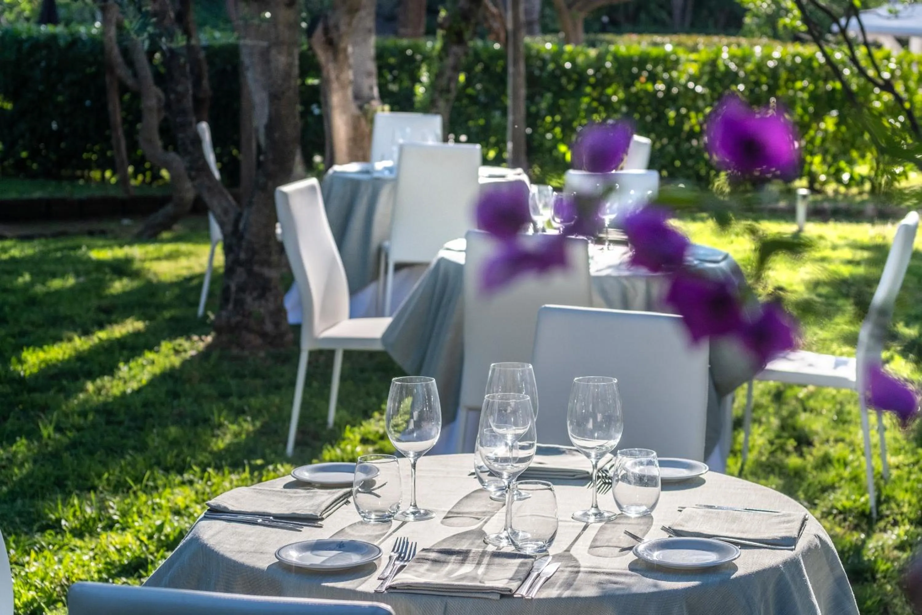 Restaurant/places to eat in Hotel Alpha