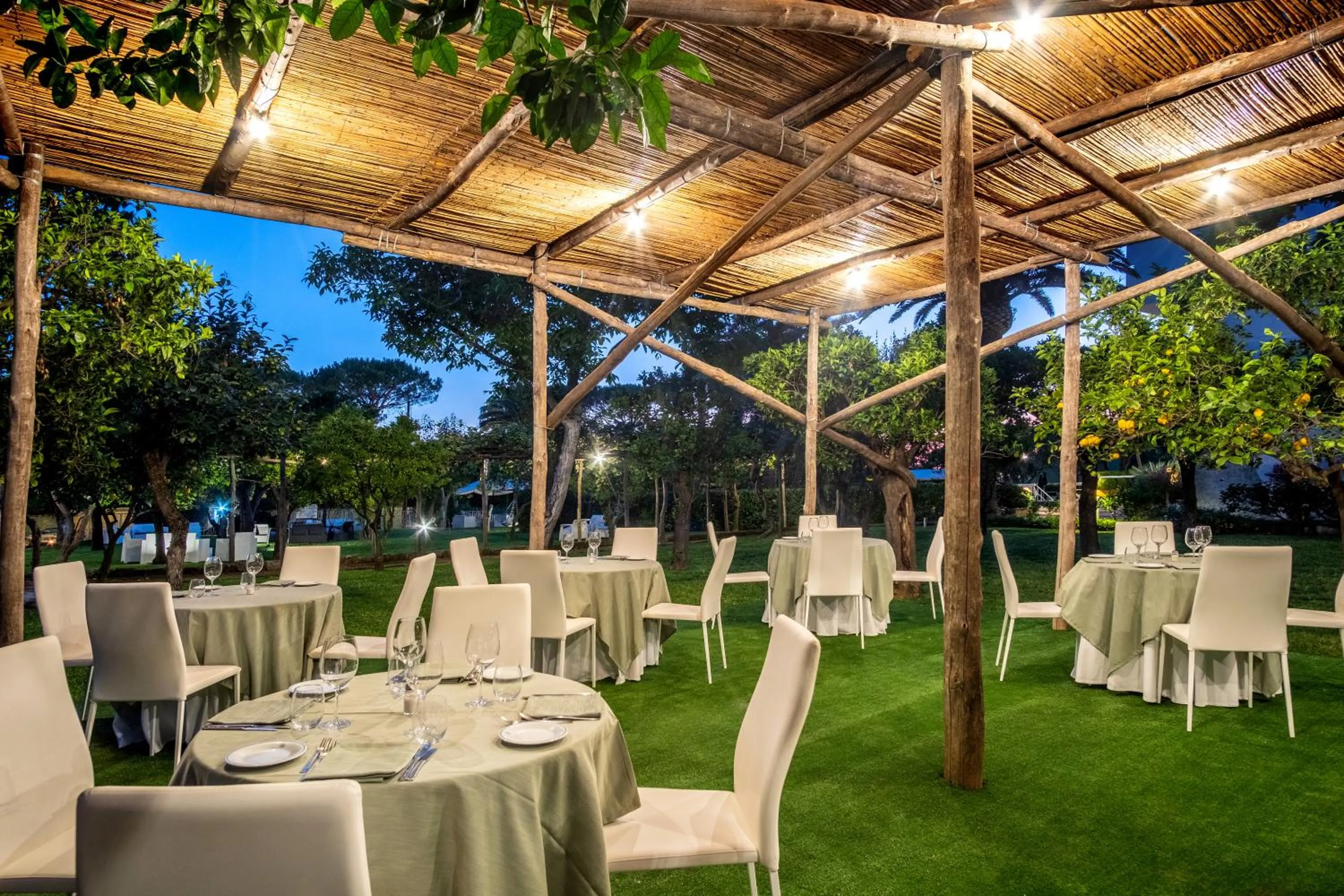 Restaurant/places to eat in Hotel Alpha