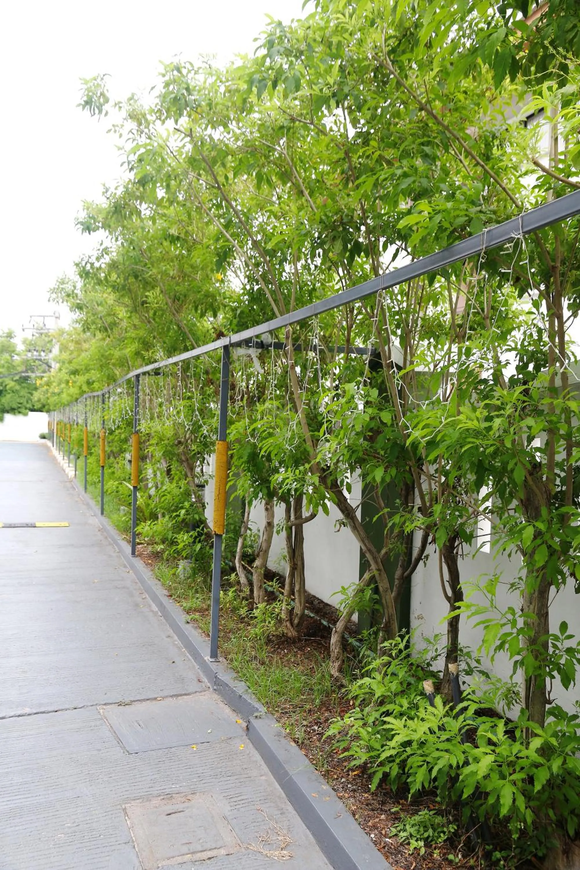 Garden in Arthitaya Green Nature Hotel & Lakkhana Poolside Resort