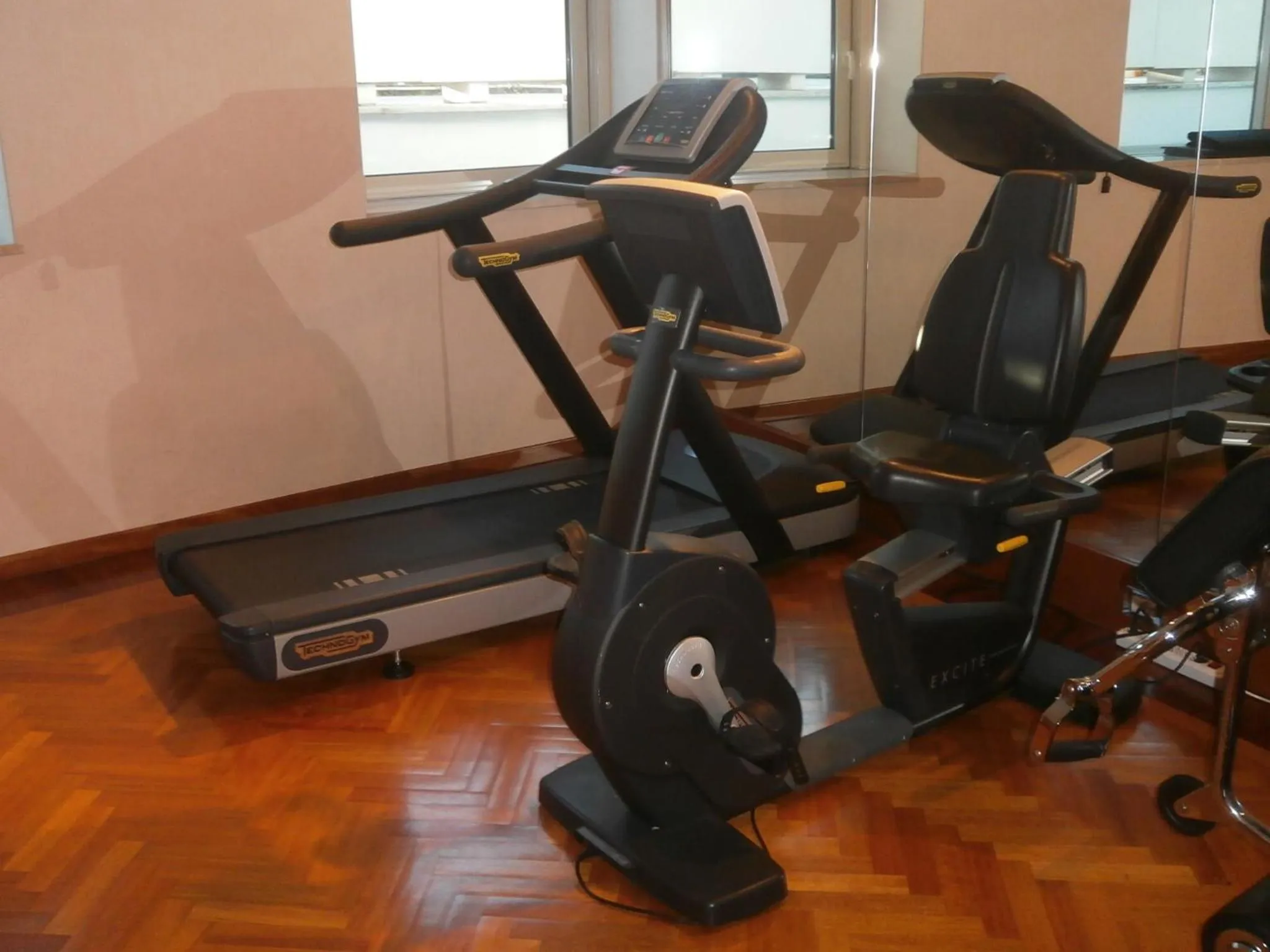 Fitness centre/facilities in Enea Hotel Aprilia