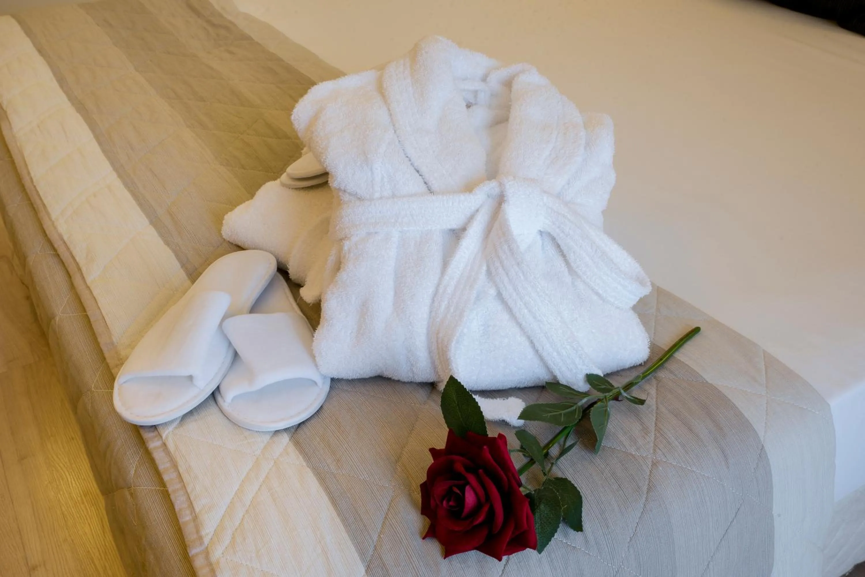 Photo of the whole room in Hotel Executive