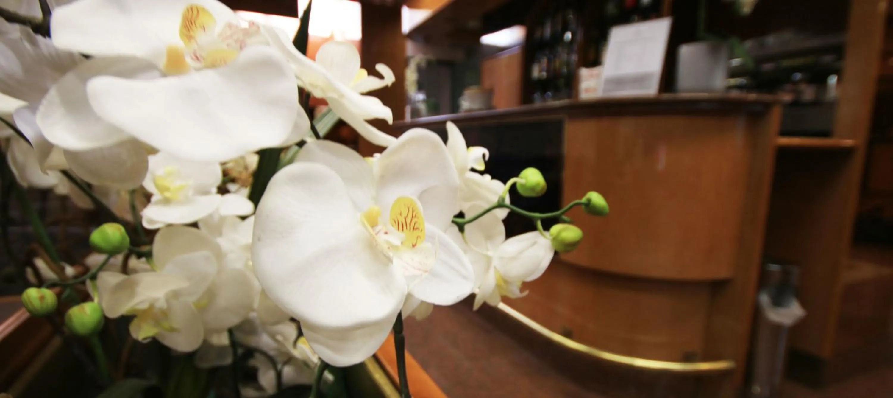 Decorative detail in Hotel Lido