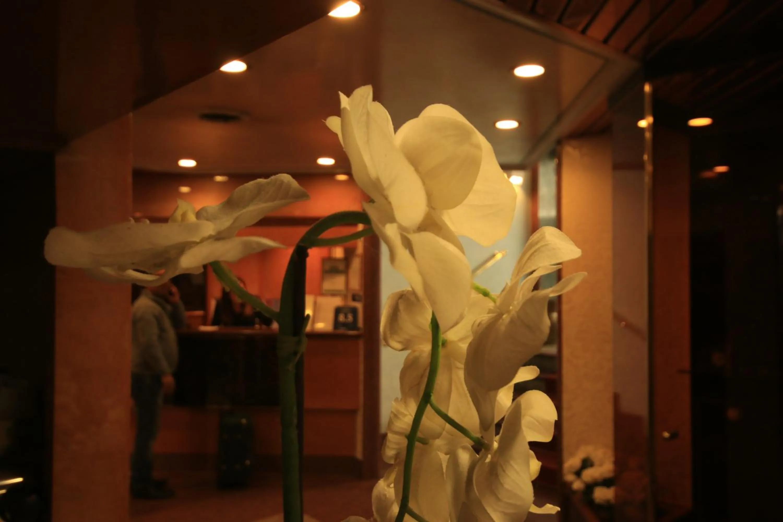 Decorative detail in Hotel Lido