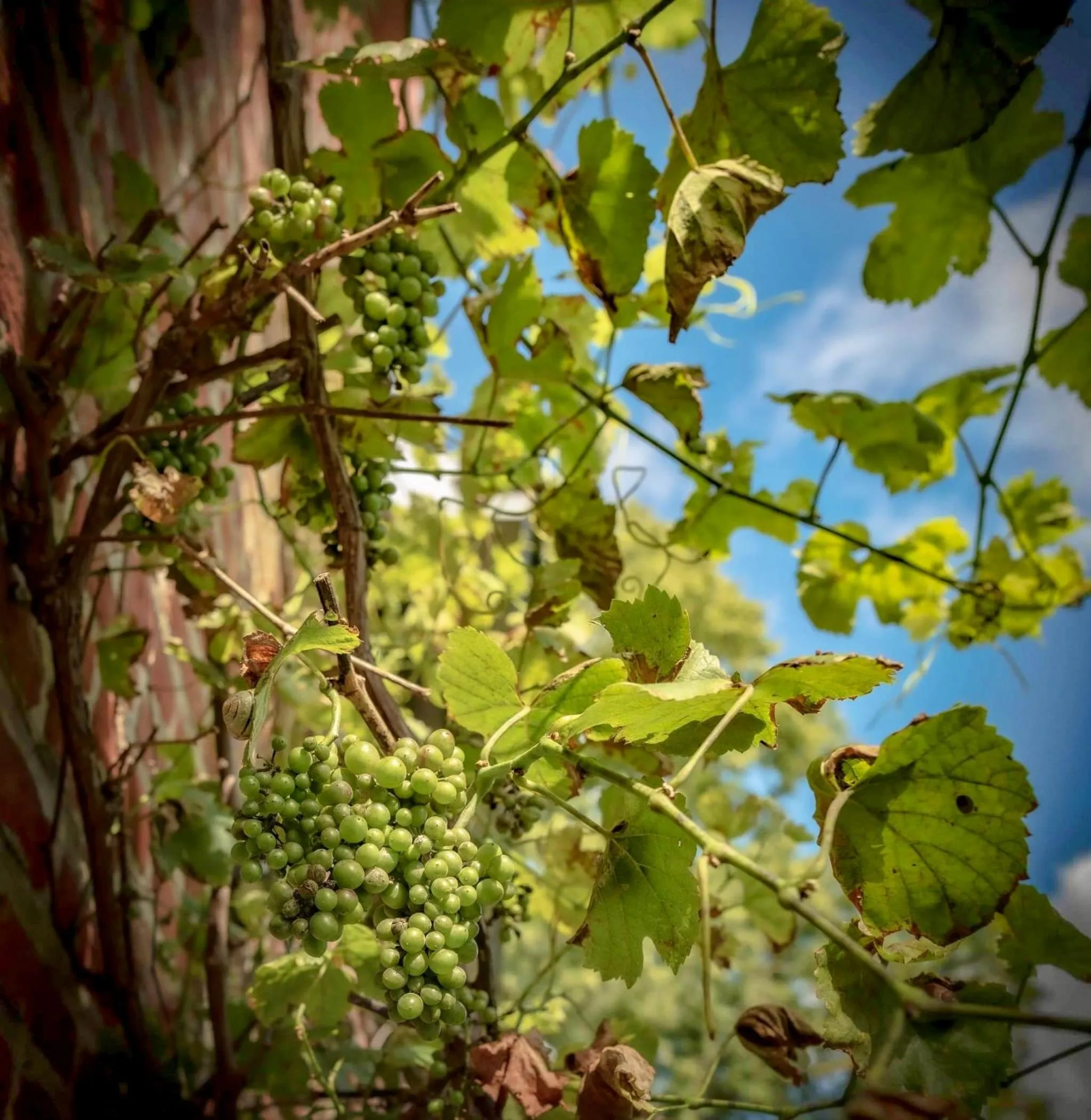 Property building in Maison Josephine