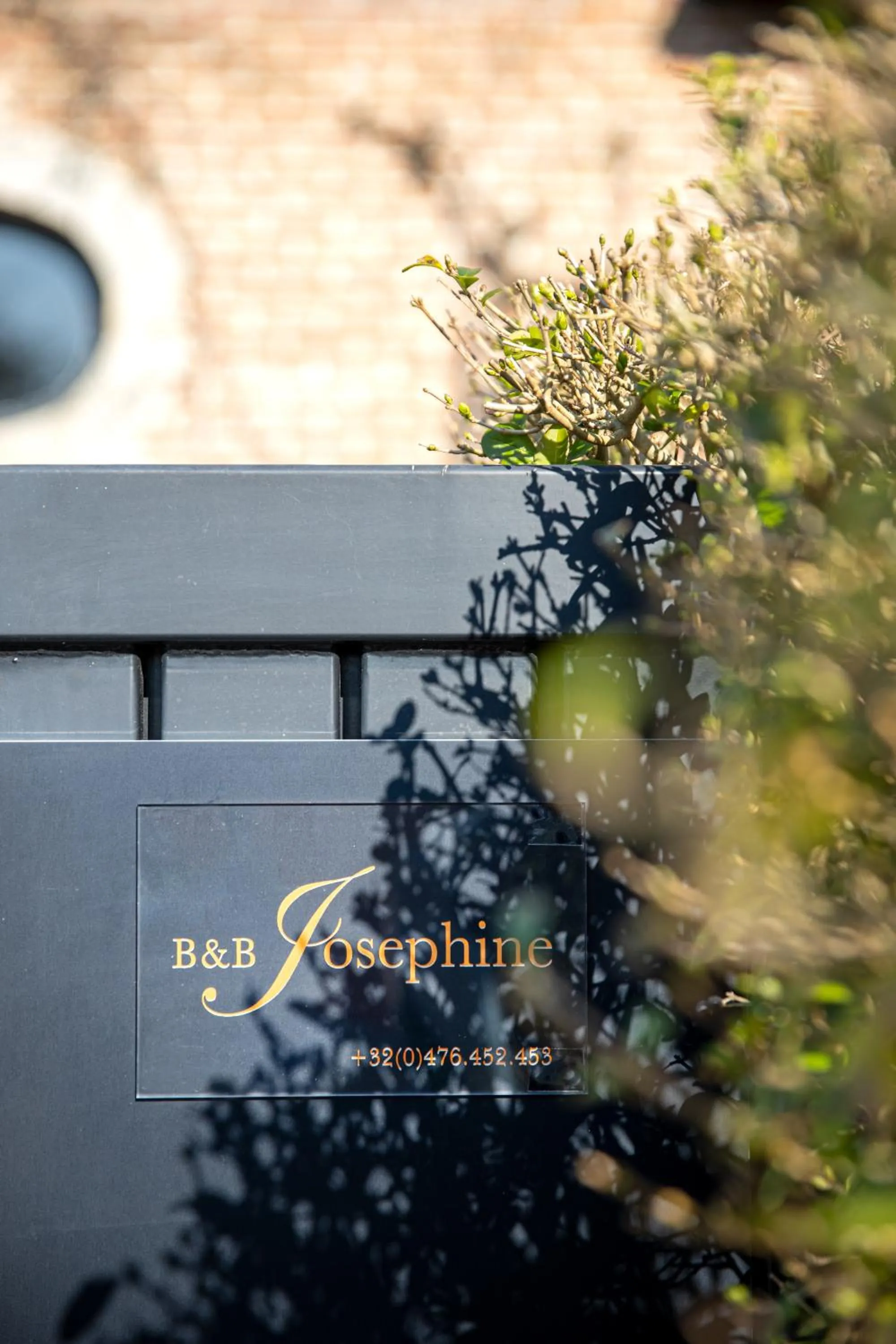 Decorative detail in Maison Josephine