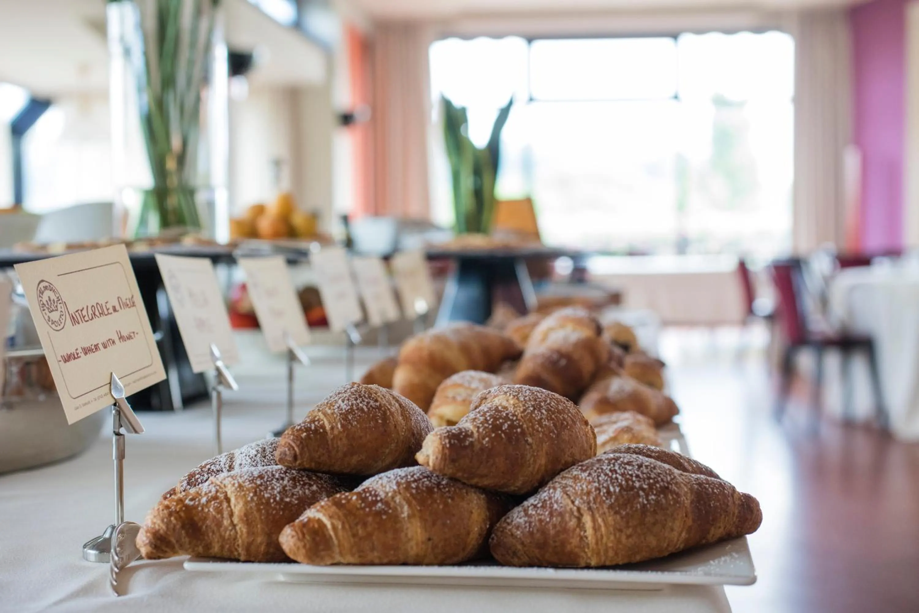 Other in Hotel dei Duchi