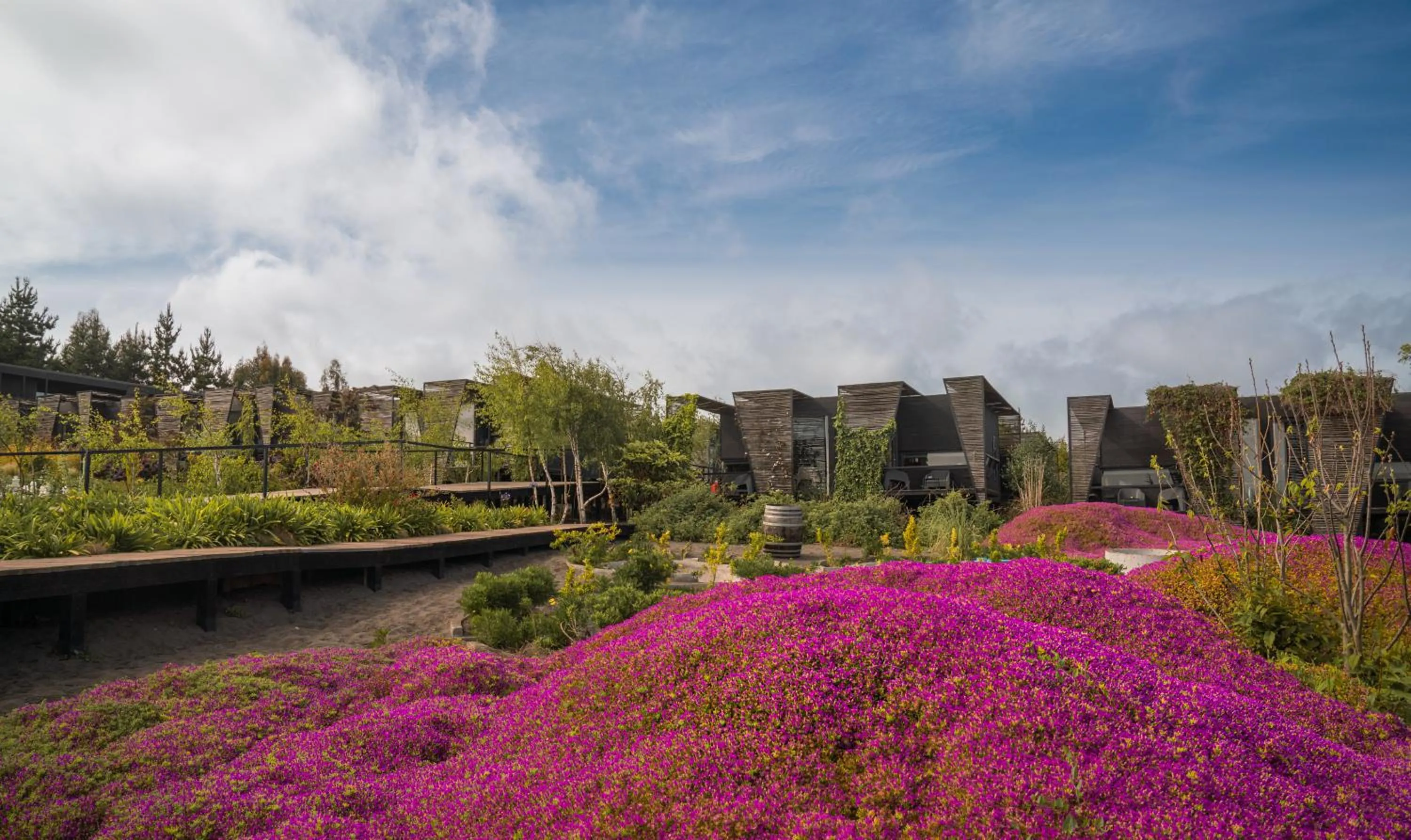 Spring in Taka Matanzas