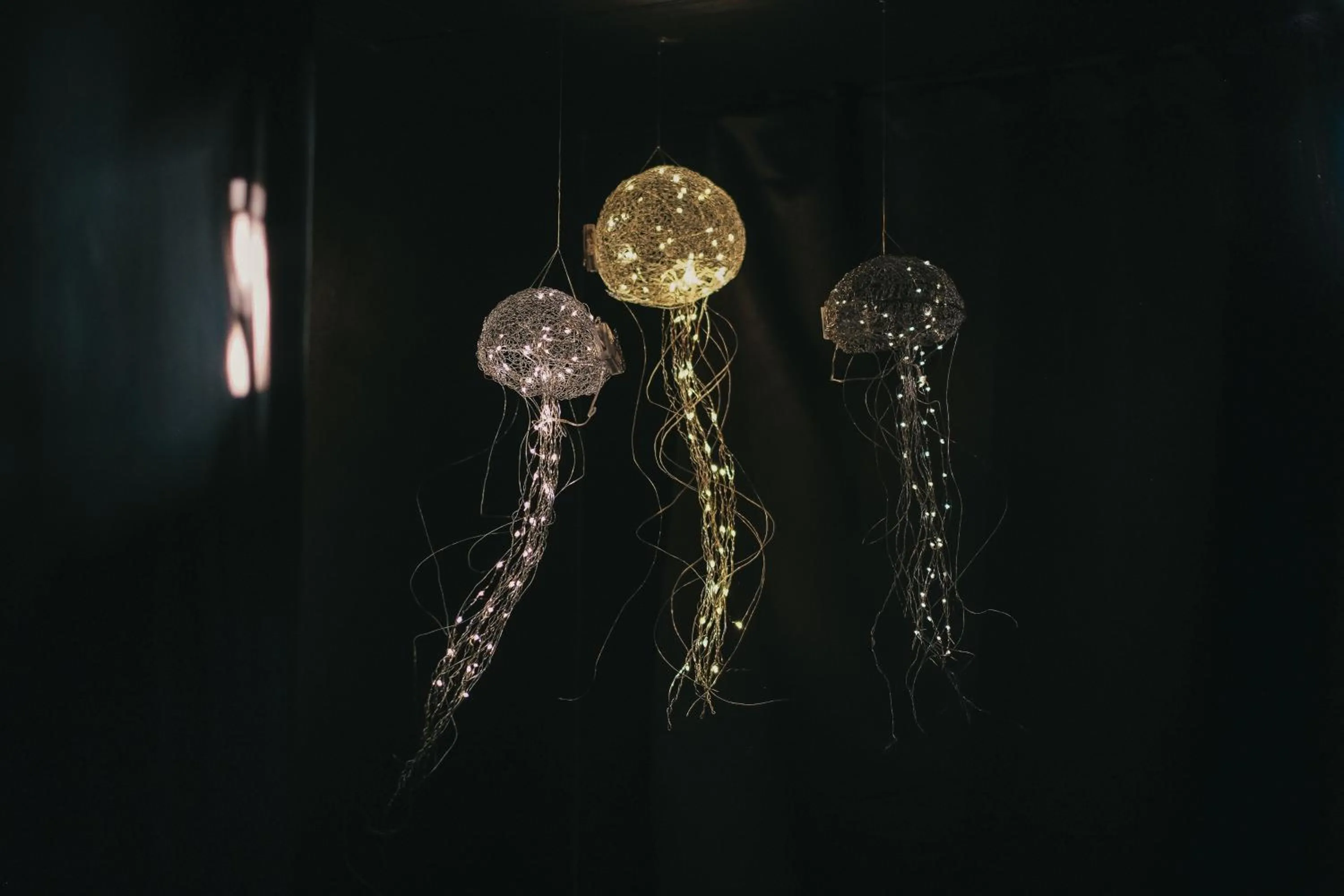 Spa and wellness centre/facilities in Thalazur Antibes - Résidence & Spa