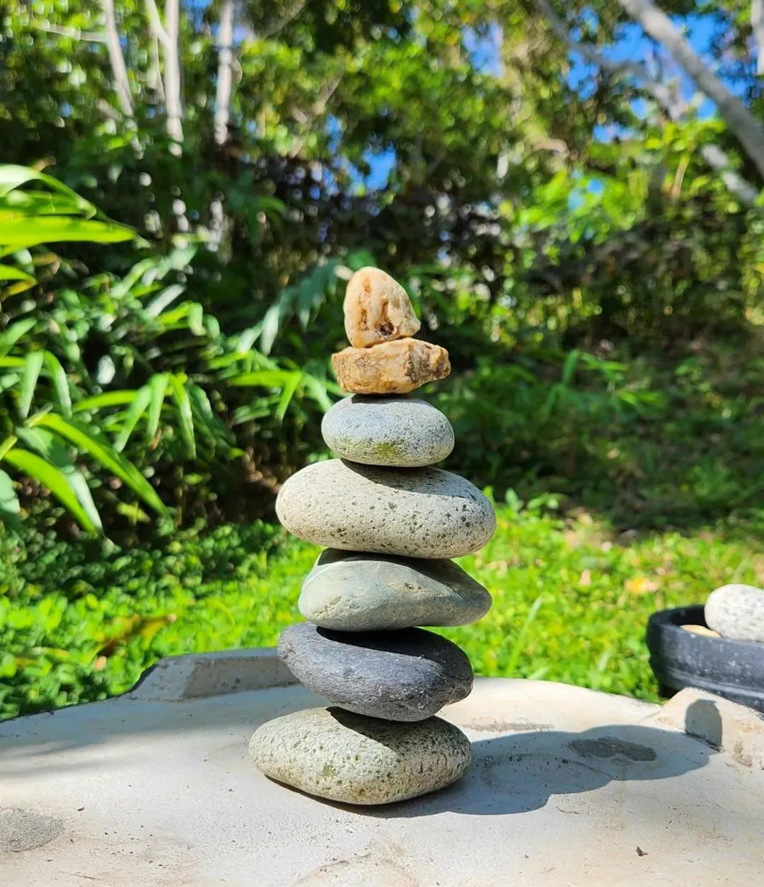 Shanti Wellness Sanctuary