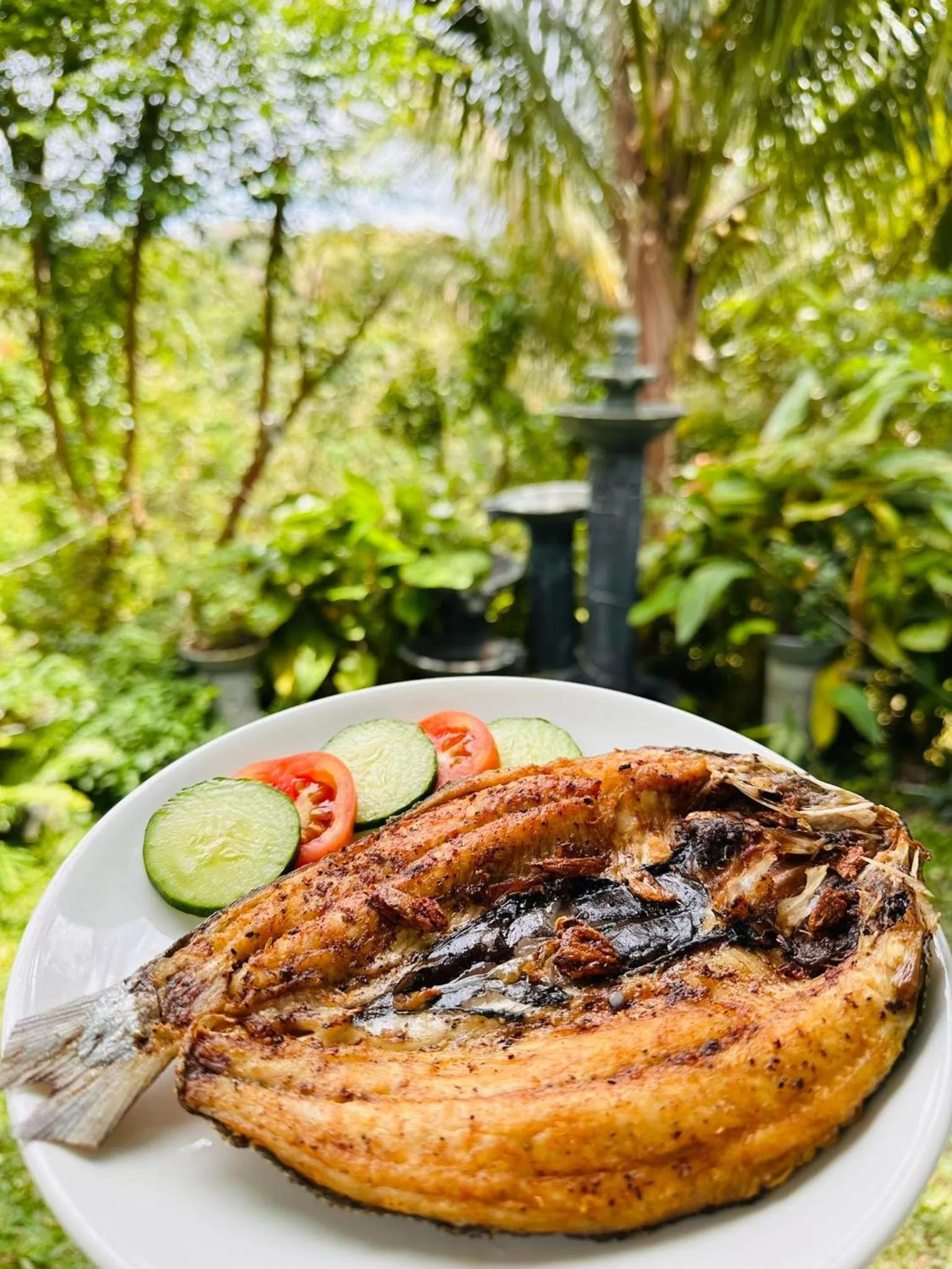 Shanti Wellness Sanctuary