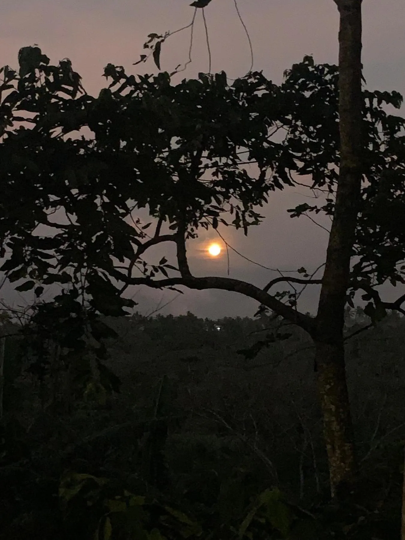 Shanti Wellness Sanctuary