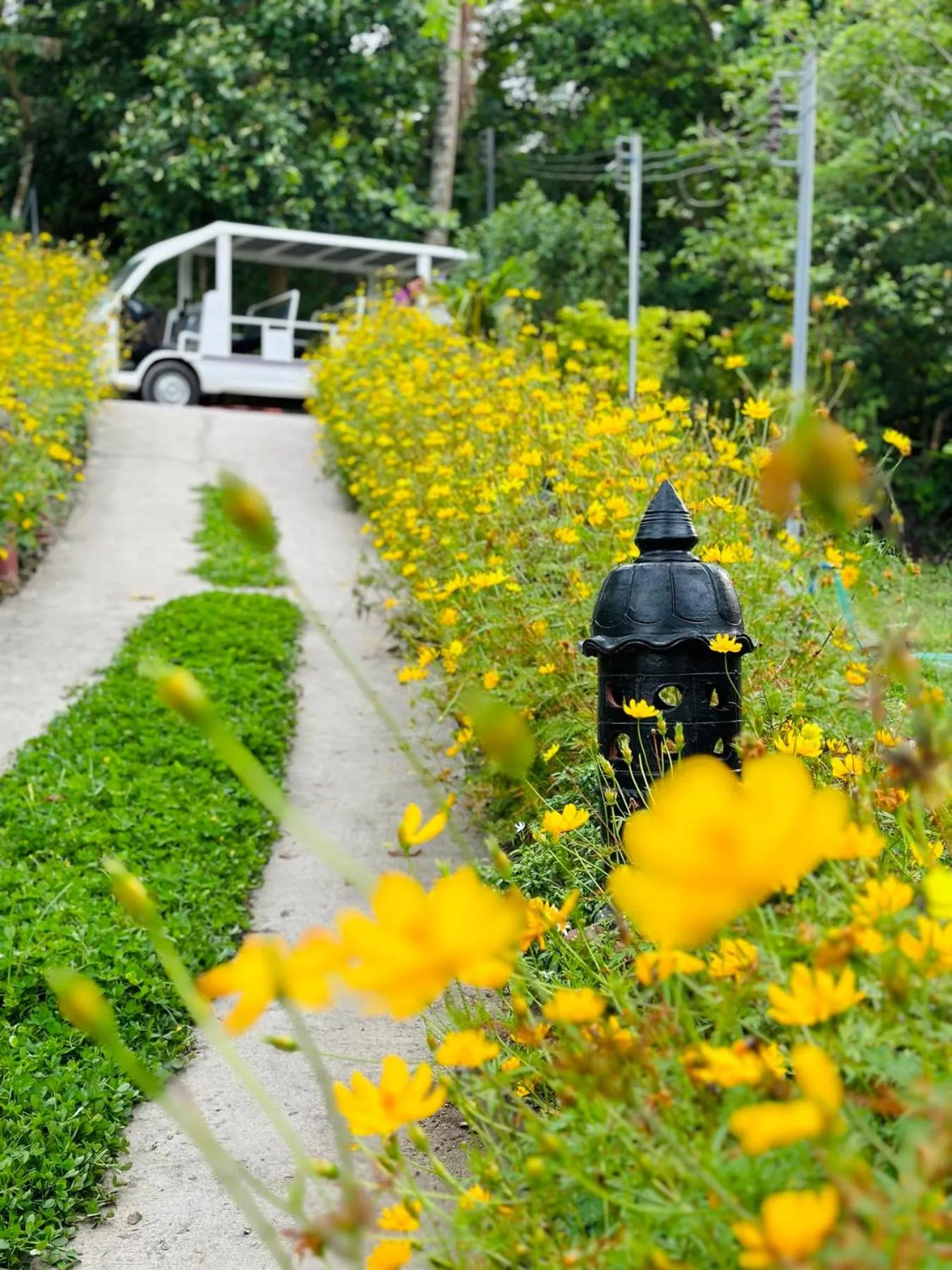 Shanti Wellness Sanctuary