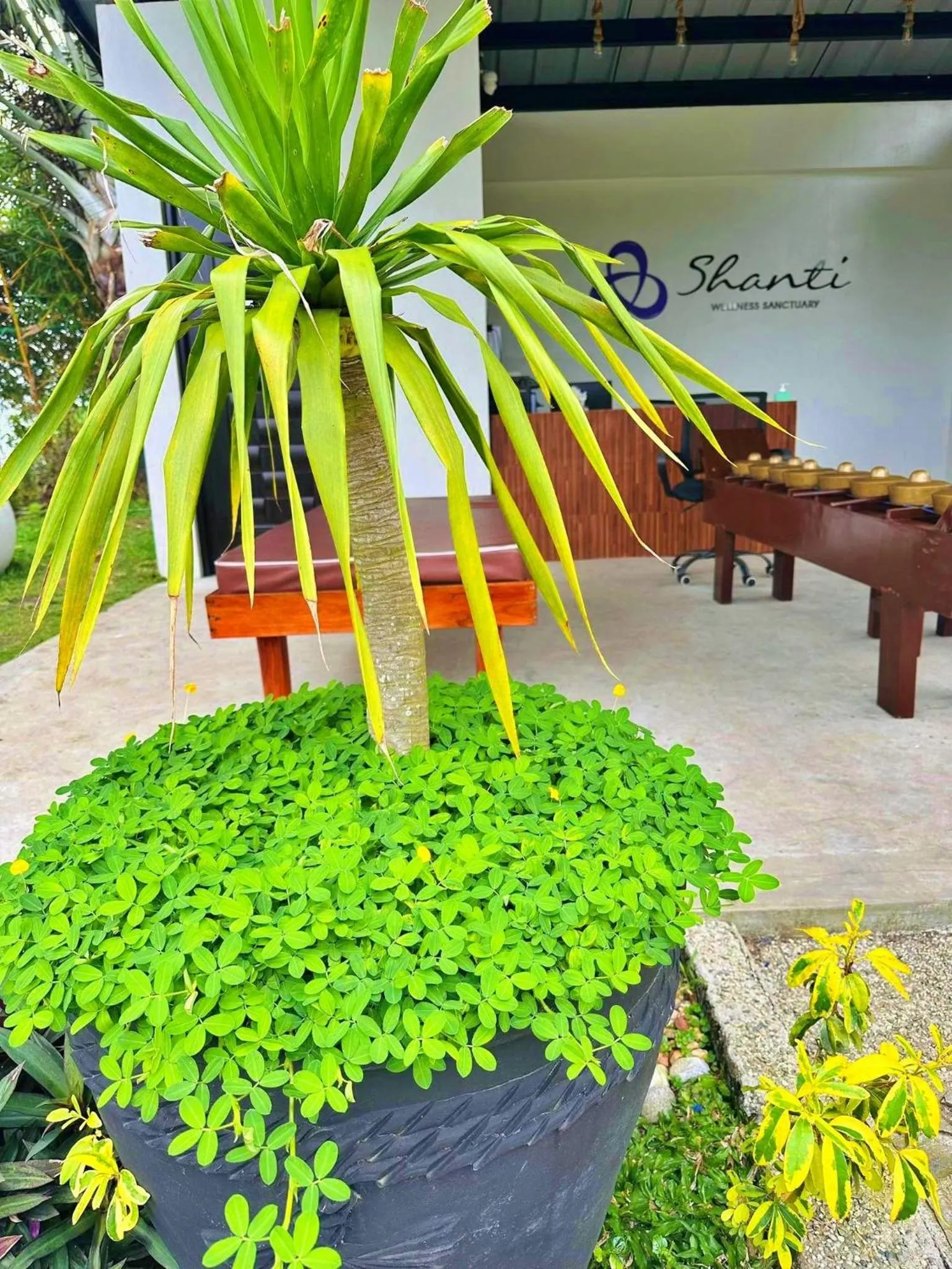 Shanti Wellness Sanctuary