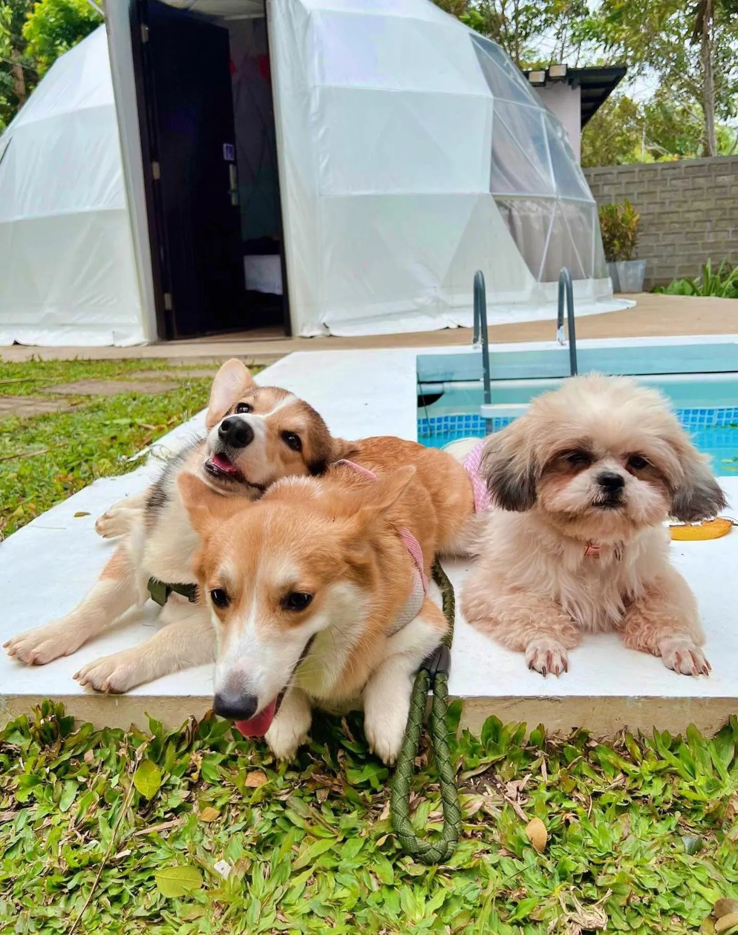 Shanti Wellness Sanctuary