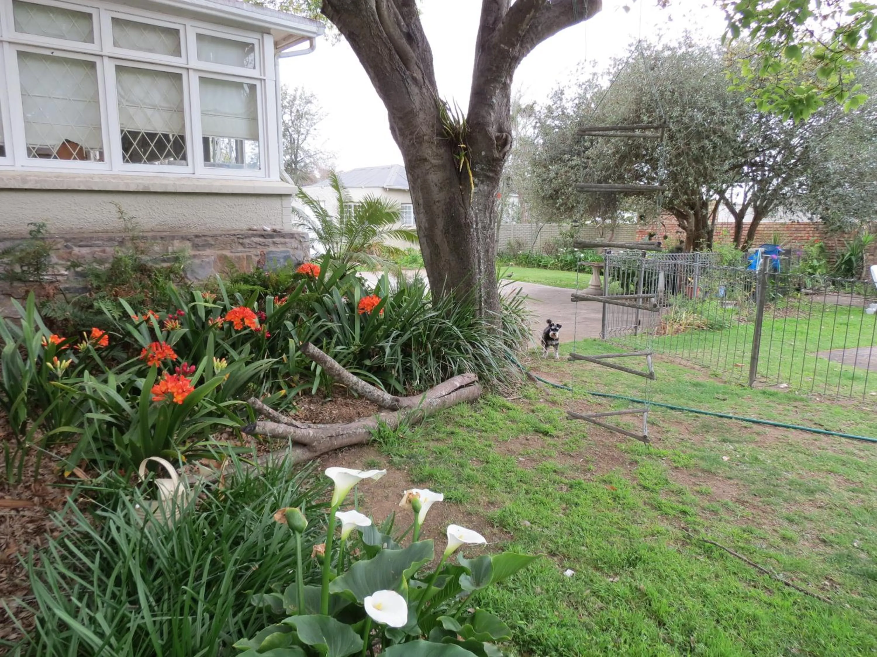 Garden in AppleBee Guest Cottages