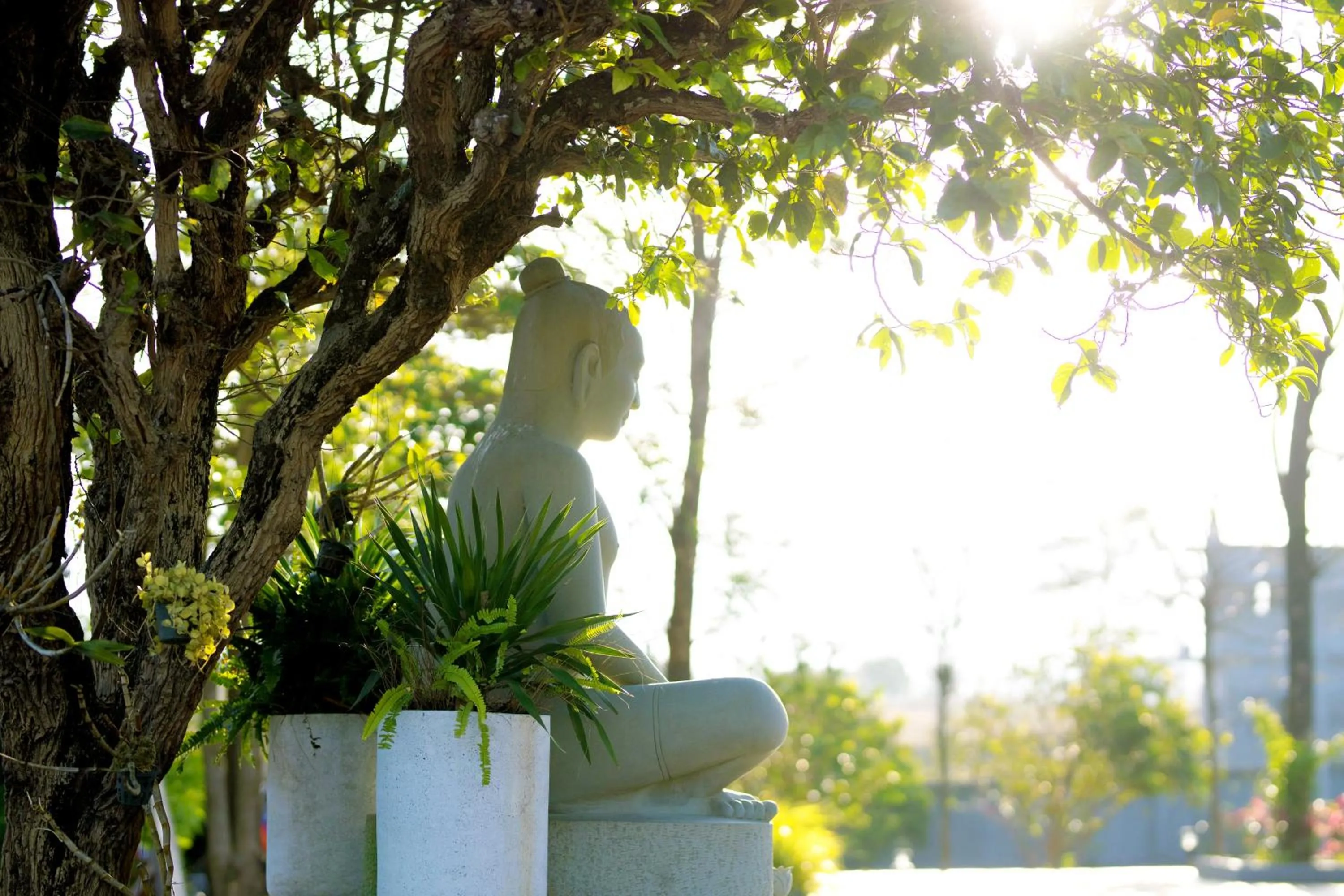 Spring in KNN RESORT Mondulkiri