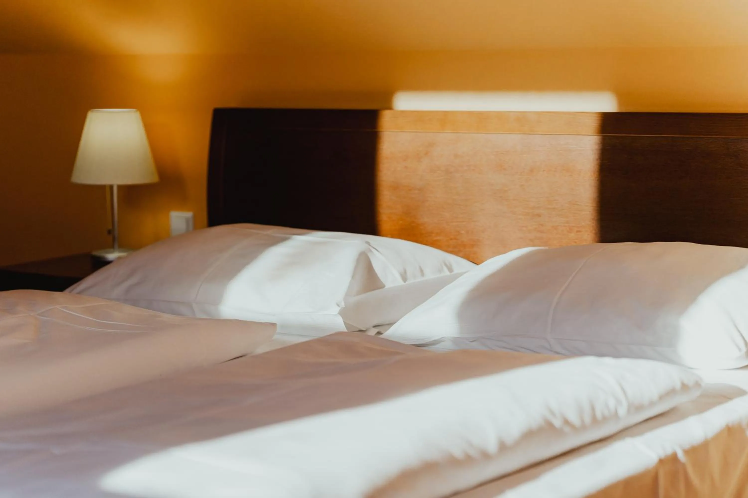 Double Room with Balcony in Hotel Sporer