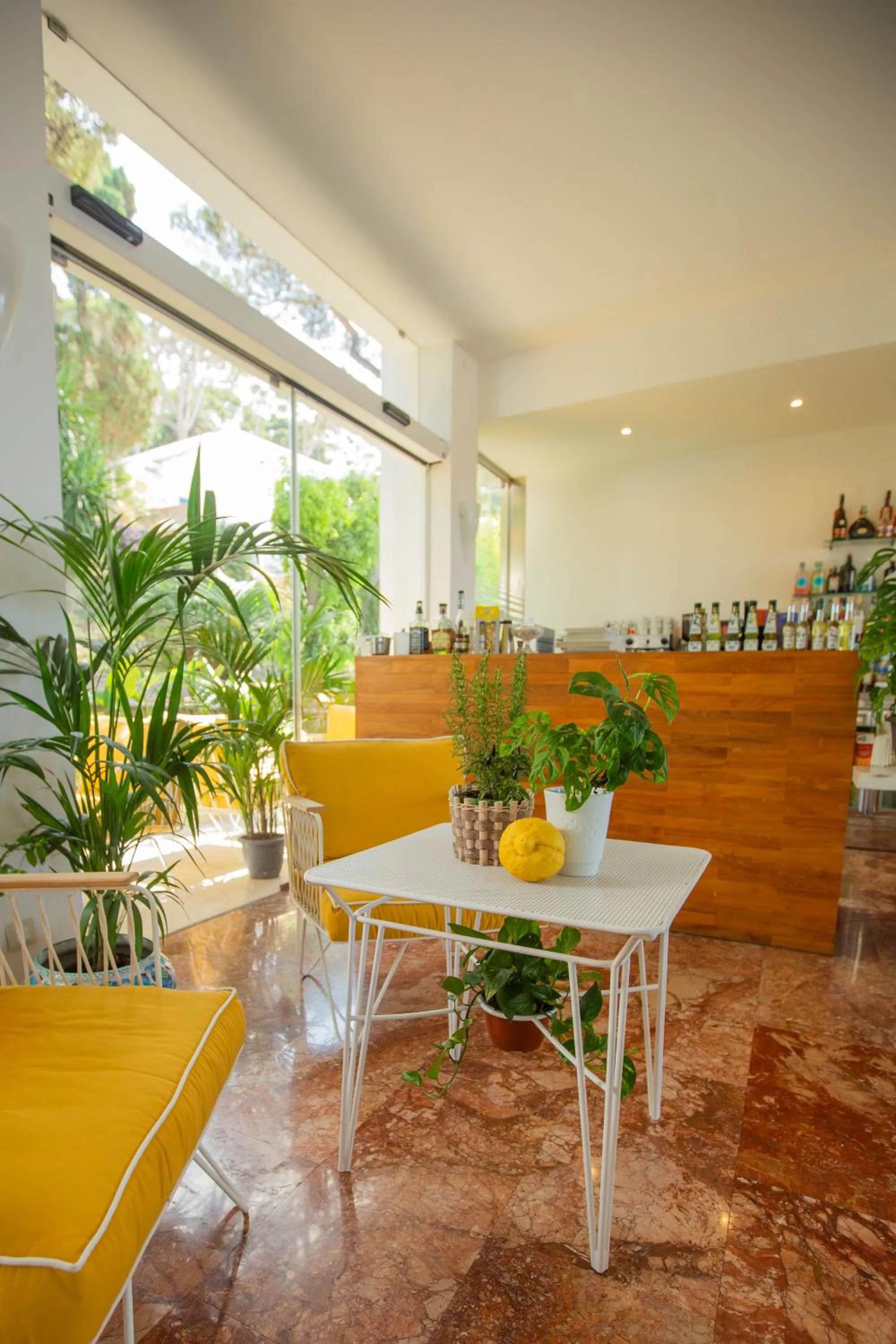 Restaurant/places to eat in Hotel La Floridiana