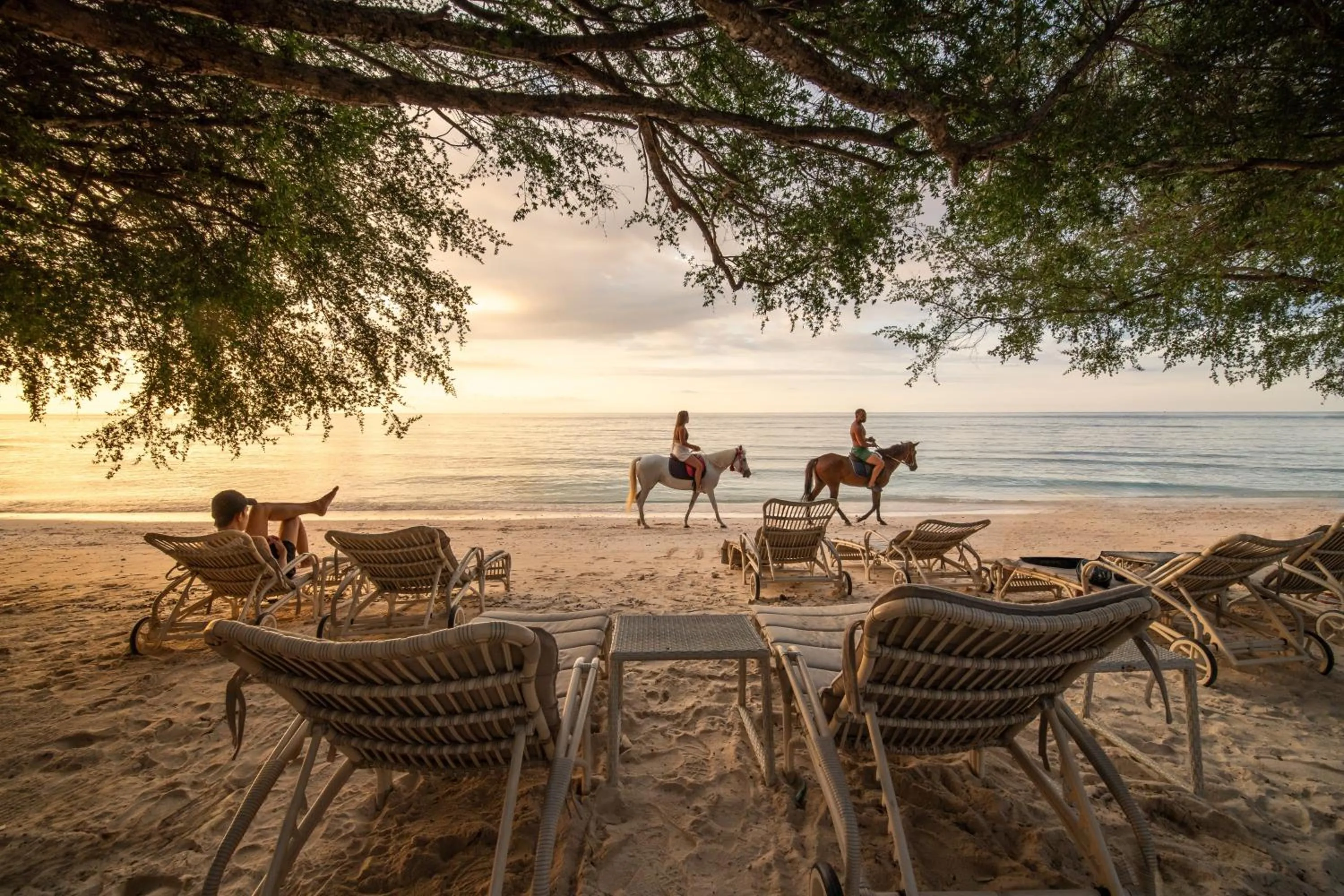 Beach in Wilson's Retreat