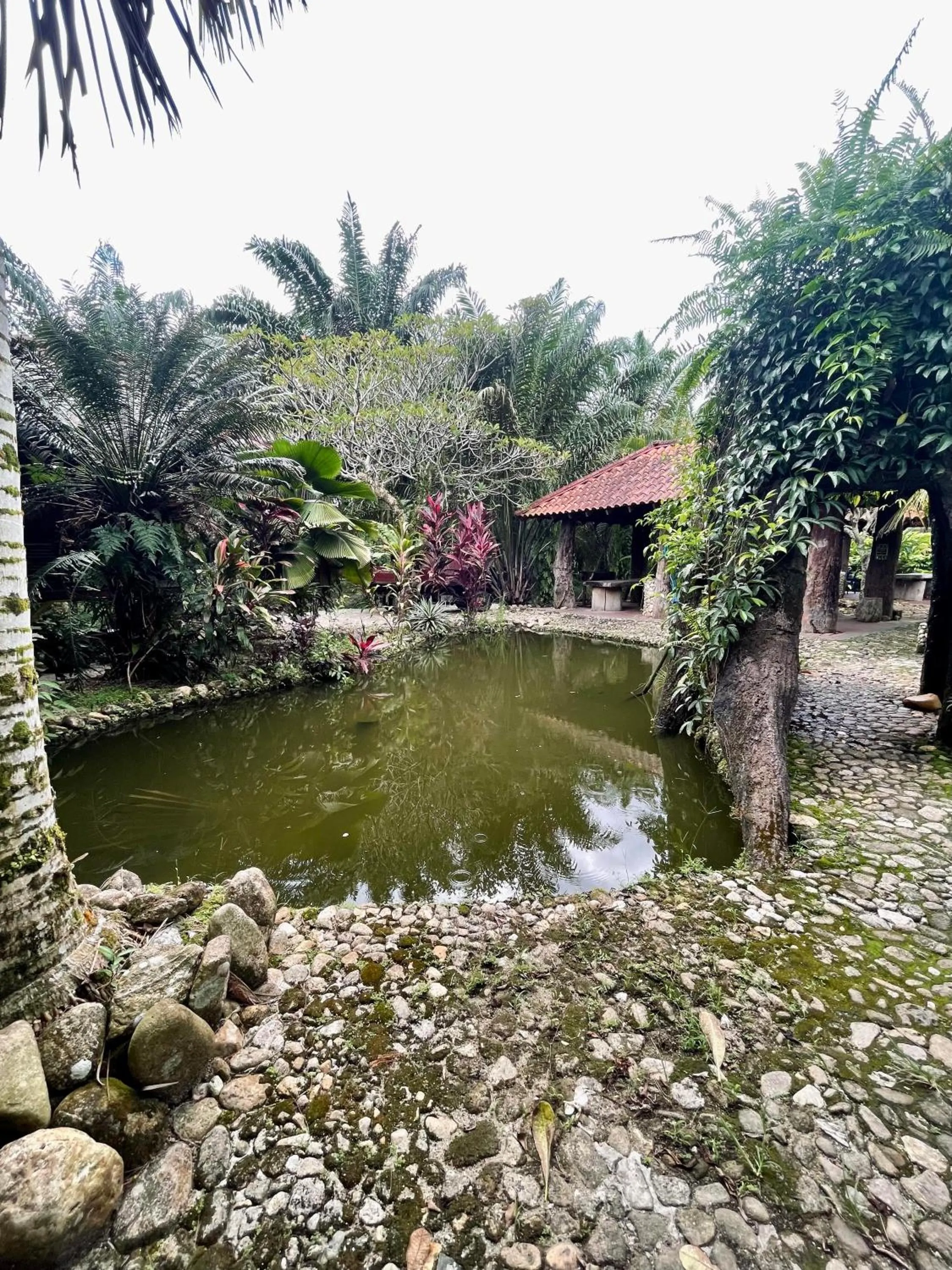 Natural landscape in Sahom Valley Resort - Agro & Eco Park