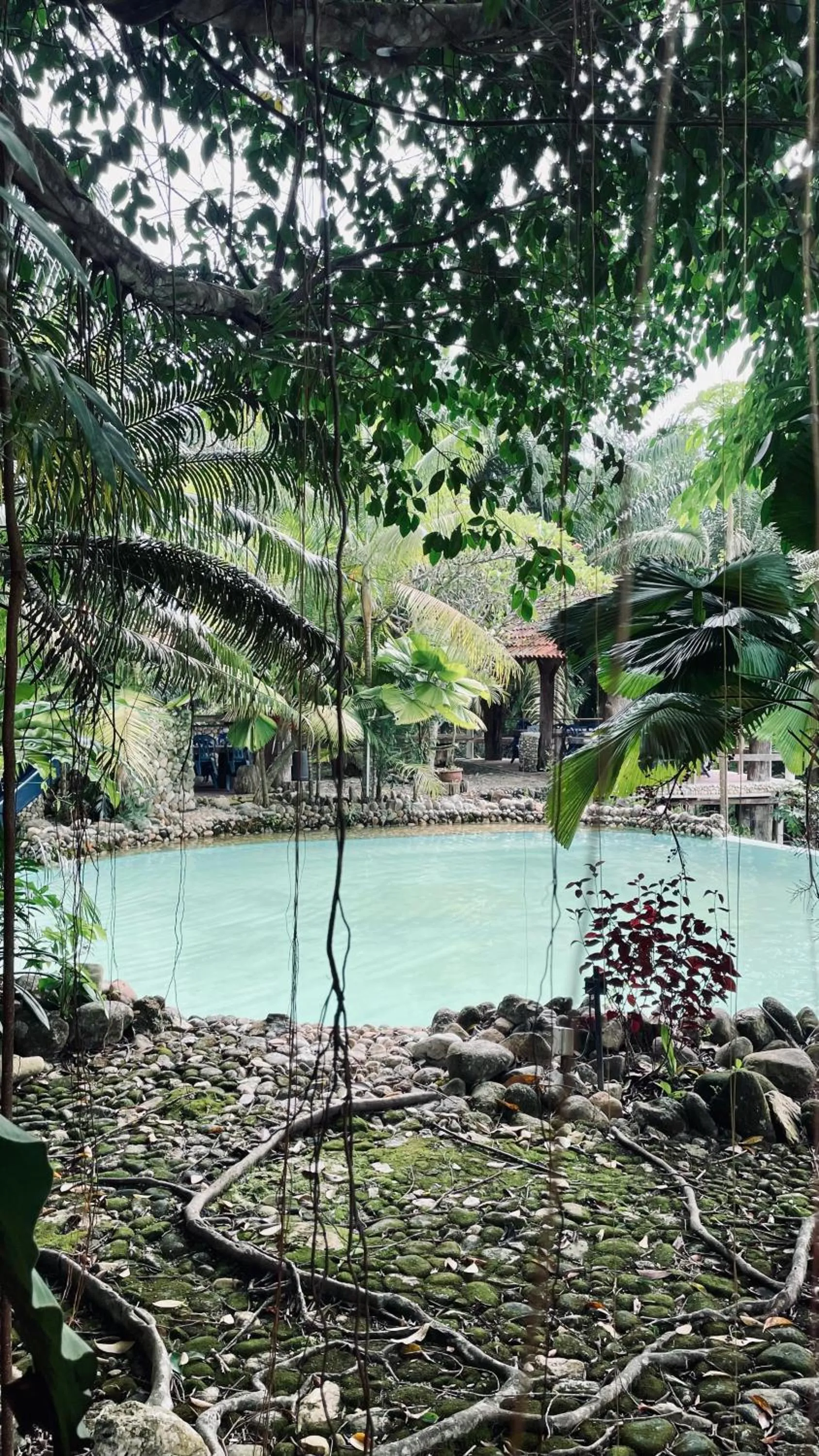 Natural landscape in Sahom Valley Resort - Agro & Eco Park