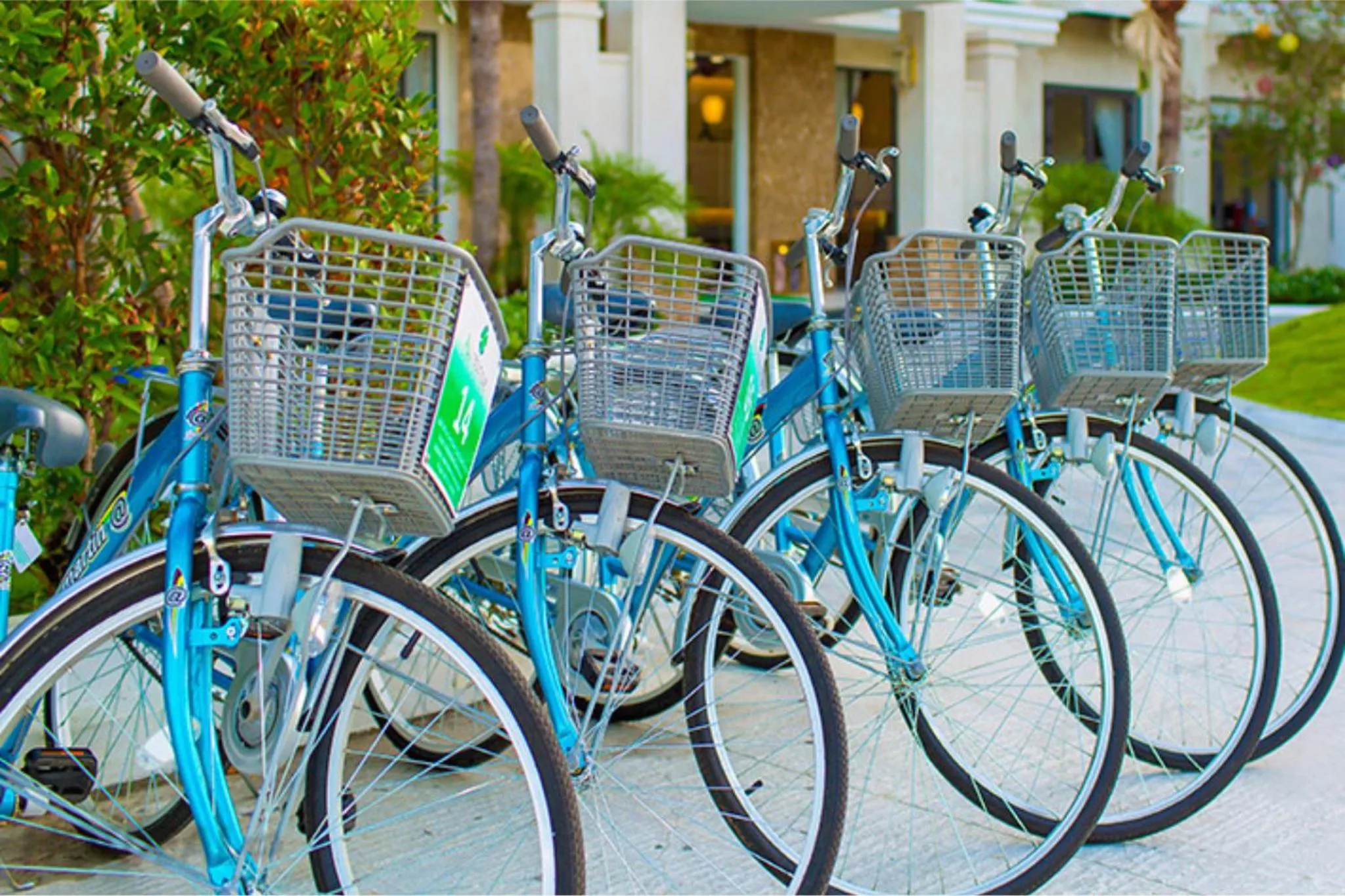 Cycling in Art Museum Villa Hoi An
