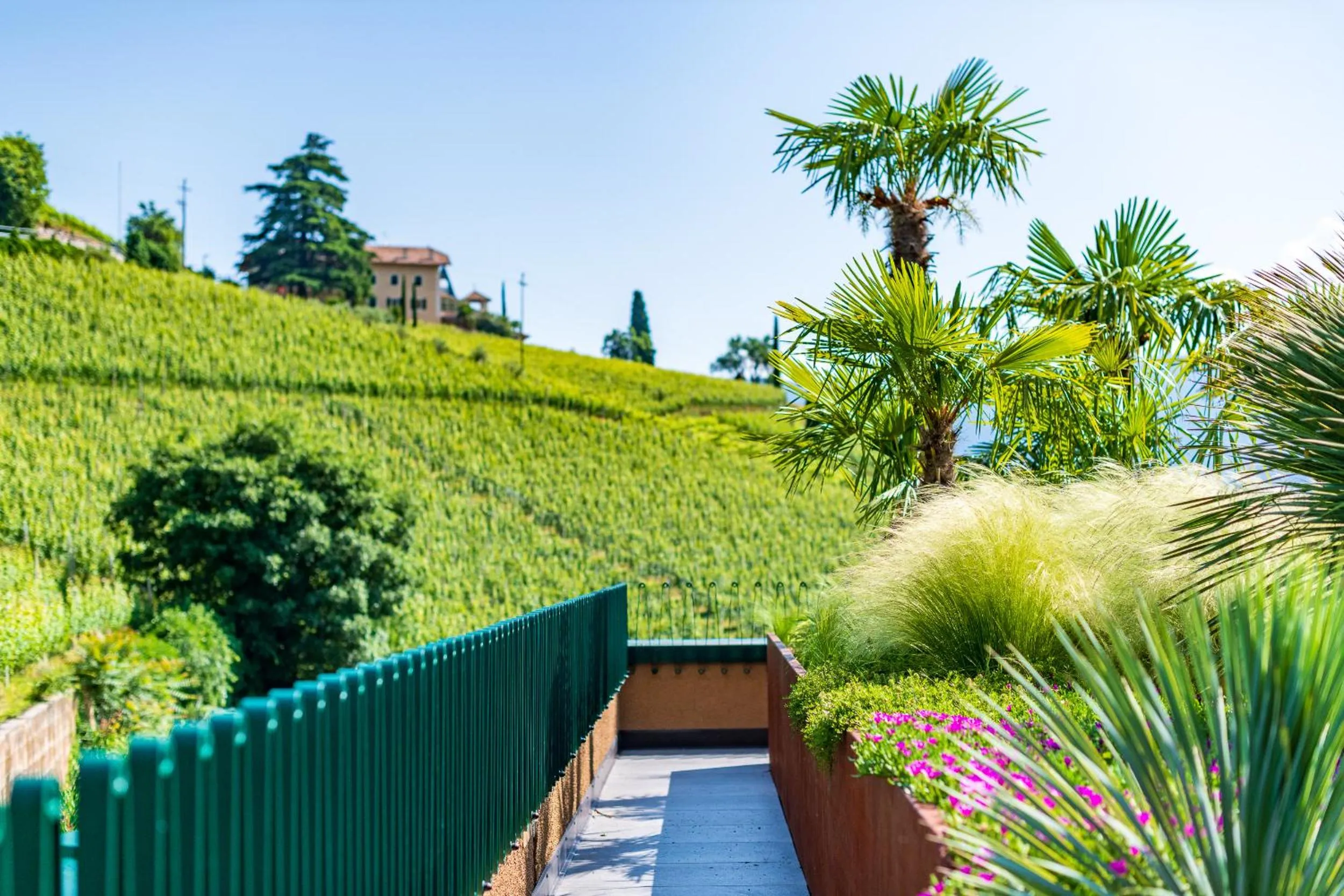 Balcony/Terrace in VILLA NAJ
