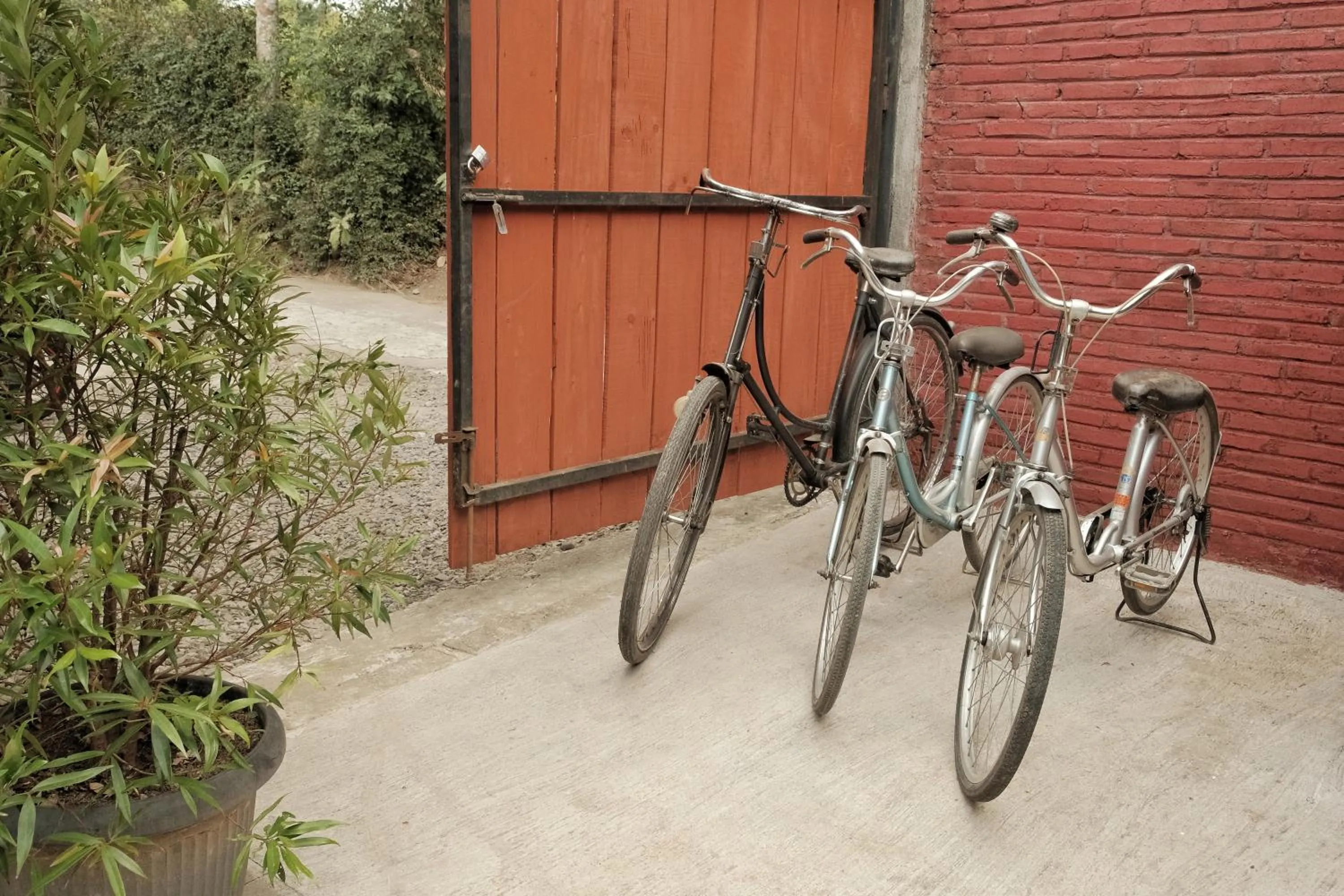 Activities in Cempaka Borobudur Guest House