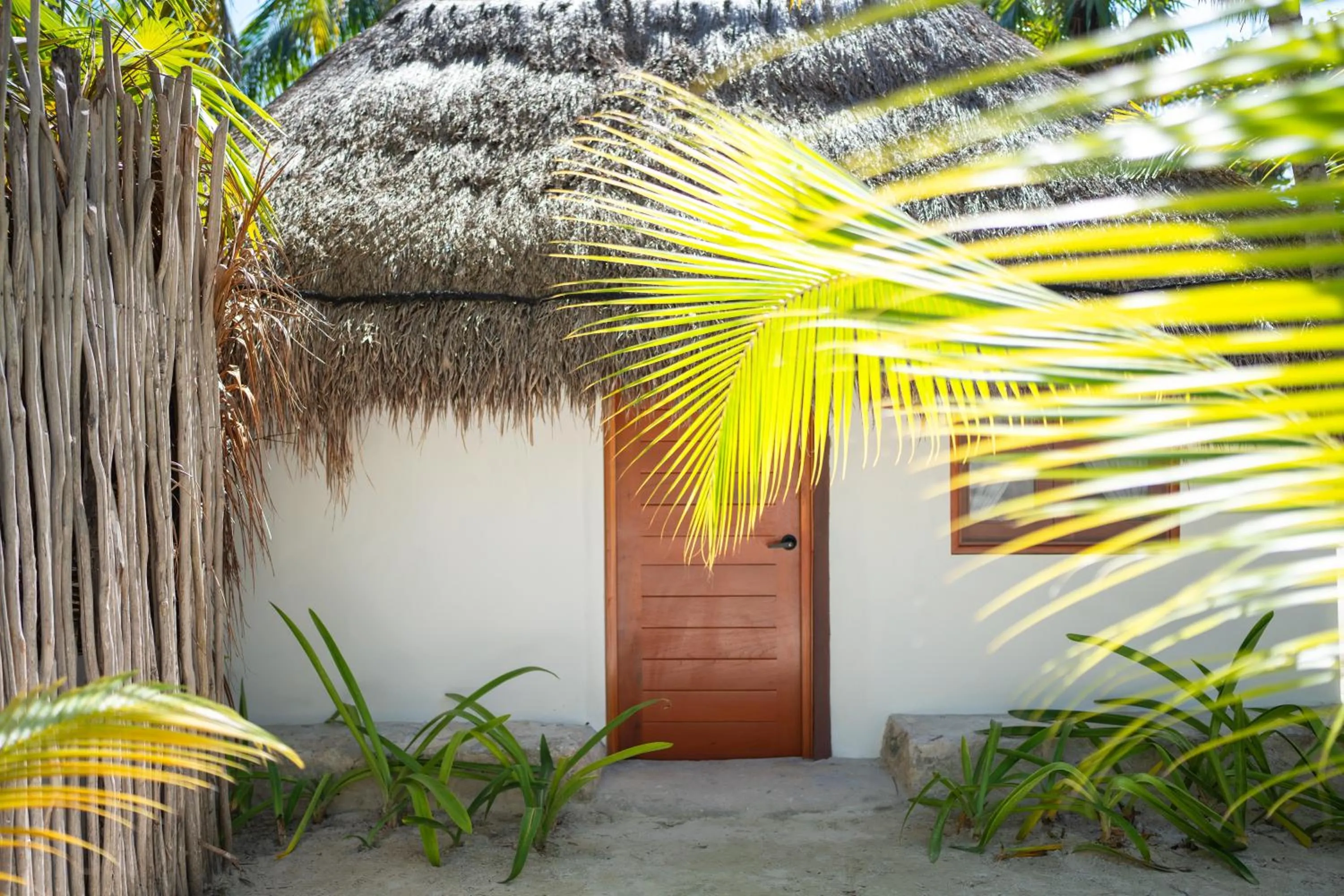 Garden in Alito Tulum Hotel